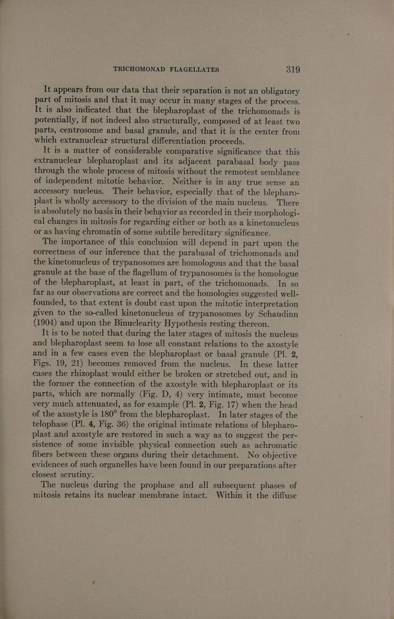 It appears from our data that their separation is not an obligatory part of mitosis and that it may occur in many stages of the process. It is also indicated that the blepharoplast of the trichomonads is potentially, if not indeed also structurally, composed of at least two parts, centrosome and basal granule, and that it is the center from which extranuclear structural differentiation proceeds. It is a matter of considerable comparative significance that this extranuclear blepharoplast and its adjacent parabasal body pass through the whole process of mitosis without the remotest semblance of independent mitotic behavior. Neither is in any true sense an accessory nucleus. Their behavior, especially that of the blepharo- plast is wholly accessory to the division of the main nucleus. There is absolutely no basis in their behavior as recorded in their morphologi- cal changes in mitosis for regarding either or both as a kinetonucleus or as having chromatin of some subtile hereditary significance. The importance of this conclusion will depend in part upon.the correctness of our inference that the parabasal of trichomonads and the kinetonucleus of trypanosomes are homologous and that the basal granule at the base of the flagellum of trypanosomes is the homologue of the blepharoplast, at least in part, of the trichomonads. In so far as our observations are correct and the homologies suggested well- founded, to that extent is doubt cast upon the mitotic interpretation given to the so-called kinetonucleus of trypanosomes by Schaudinn (1904) and upon the Binuclearity Hypothesis resting thereon. It is to be noted that during the later stages of mitosis the nucleus and blepharoplast seem to lose all constant relations to the axostyle and in a few cases even the blepharoplast or basal granule (Pl. 2, Figs. 19, 21) becomes removed from the nucleus. In these latter cases the rhizoplast would either be broken or stretched out, and in the former the connection of the axostyle with blepharoplast or its parts, which are normally (Fig. D, 4) very intimate, must become very much attenuated, as for example (PI. 2, Fig. 17) when the head of the axostyle is 180° from the blepharoplast. In later stages of the telophase (Pl. 4, Fig. 36) the original intimate relations of blepharo- plast and axostyle are restored in such a way as to suggest the per- sistence of some invisible physical connection such as achromatic fibers between these organs during their detachment. No objective evidences of such organelles have been found in our preparations after closest scrutiny. The nucleus during the prophase and all subsequent phases of mitosis retains its nuclear membrane intact. Within it the diffuse