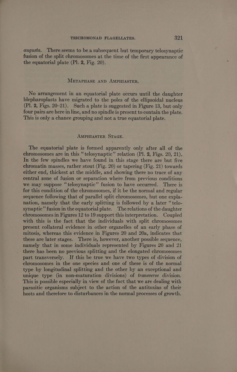 augusta. ‘There seems to be a subsequent but temporary telosynaptic fusion of the split chromosomes at the time of the first appearance of the equatorial plate (Pl. 2, Fig. 20). METAPHASE AND AMPHIASTER. No arrangement in an equatorial plate occurs until the daughter blepharoplasts have migrated to the poles of the ellipsoidal nucleus (Pl. 2, Figs. 20-21). Such a plate is suggested in Figure 13, but only four pairs are here in line, and no spindle is present to contain the plate. This is only a chance grouping and not a true equatorial plate. AMPHIASTER STAGE. The equatorial plate is formed apparently only after all of the chromosomes are in this “telosynaptic” relation (Pl. 2, Figs. 20, 21). In the few spindles we have found in this stage there are but five chromatin masses, rather stout (Fig. 20) or tapering (Fig. 21) towards either end, thickest at the middle, and showing there no trace of any central zone of fusion or separation where from previous conditions we may suppose “telosynaptic” fusion to have occurred. There is for this condition of the chromosomes, if it be the normal and regular sequence following that of parallel split chromosomes, but one expla- nation, namely that the early splitting is followed by a later “telo- synaptic’ fusion in the equatorial plate. The relations of the daughter chromosomes in Figures 12 to 19 support this interpretation. Coupled with this is the fact that the individuals with split chromosomes present collateral evidence in other organelles of an early phase of mitosis, whereas this evidence in Figures 20 and 20a, indicates that these are later stages. There is, however, another possible sequence, namely that in some individuals represented by Figures 20 and 21 there has been no previous splitting and the elongated chromosomes part transversely. If this be true we have two types of division of chromosomes in the one species and one of these is of the normal type by longitudinal splitting and the other by an exceptional and unique type (in non-maturation divisions) of transverse division. This is possible especially in view of the fact that we are dealing with parasitic organisms subject to the action of the antitoxins of their hosts and therefore to disturbances in the normal processes of growth.
