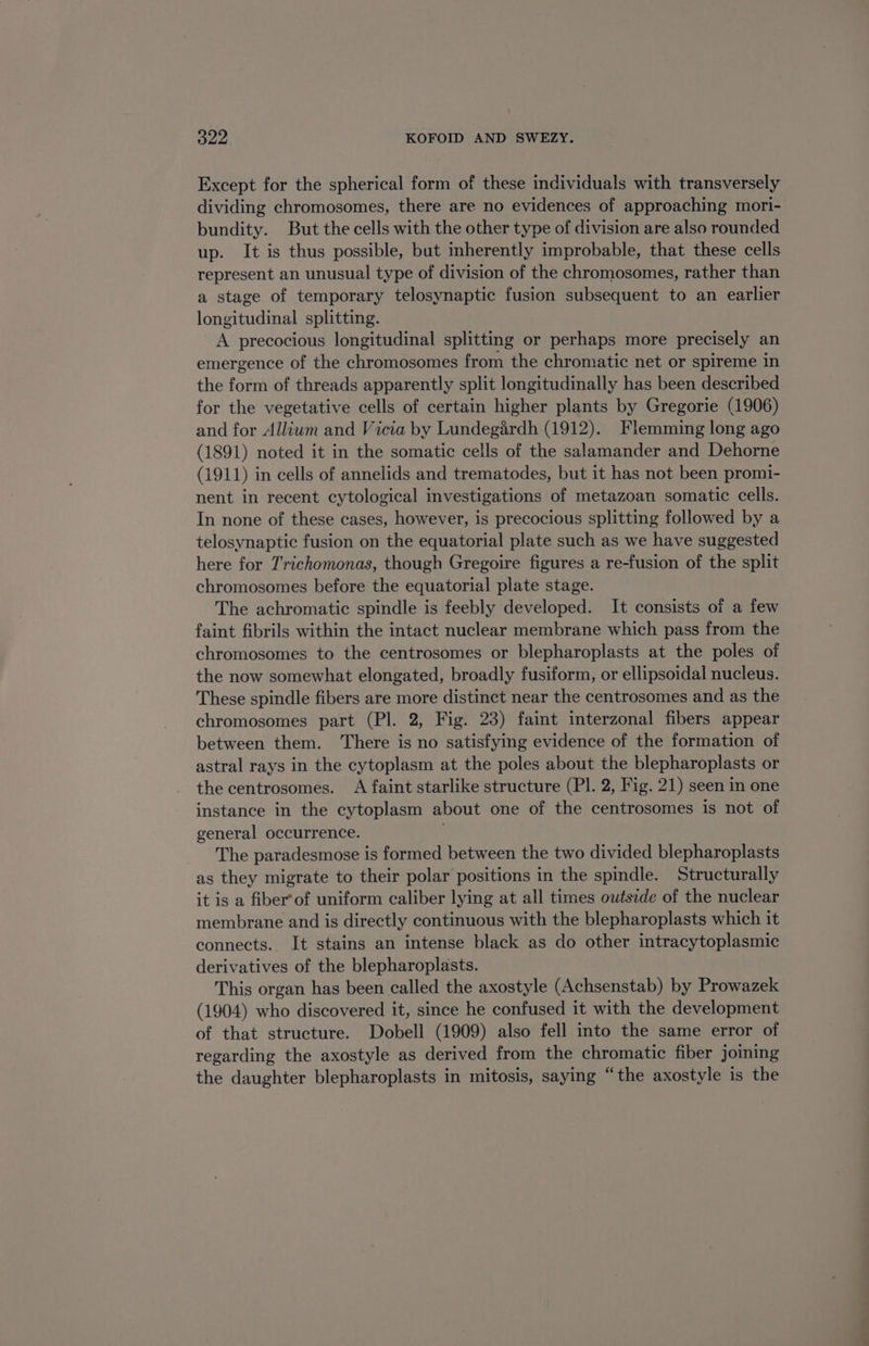 Except for the spherical form of these individuals with transversely dividing chromosomes, there are no evidences of approaching mori- bundity. But the cells with the other type of division are also rounded up. It is thus possible, but inherently improbable, that these cells represent an unusual type of division of the chromosomes, rather than a stage of temporary telosynaptic fusion subsequent to an earlier longitudinal splitting. A precocious longitudinal splitting or perhaps more precisely an emergence of the chromosomes from the chromatic net or spireme in the form of threads apparently split longitudinally has been described for the vegetative cells of certain higher plants by Gregorie (1906) and for Allium and Vicia by Lundegiardh (1912). Flemming long ago (1891) noted it in the somatic cells of the salamander and Dehorne (1911) in cells of annelids and trematodes, but it has not been promi- nent in recent cytological investigations of metazoan somatic cells. In none of these cases, however, is precocious splitting followed by a telosynaptic fusion on the equatorial plate such as we have suggested here for Trichomonas, though Gregoire figures a re-fusion of the split chromosomes before the equatorial plate stage. The achromatic spindle is feebly developed. It consists of a few faint fibrils within the intact nuclear membrane which pass from the chromosomes to the centrosomes or blepharoplasts at the poles of the now somewhat elongated, broadly fusiform, or ellipsoidal nucleus. These spindle fibers are more distinct near the centrosomes and as the chromosomes part (PI. 2, Fig. 23) faint interzonal fibers appear between them. There is no satisfying evidence of the formation of astral rays in the cytoplasm at the poles about the blepharoplasts or the centrosomes. A faint starlike structure (Pl. 2, Fig. 21) seen in one instance in the cytoplasm about one of the centrosomes is not of general occurrence. The paradesmose is formed between the two divided blepharoplasts as they migrate to their polar positions in the spindle. Structurally it is a fiber*of uniform caliber lying at all times outside of the nuclear membrane and is directly continuous with the blepharoplasts which it connects.. It stains an intense black as do other intracytoplasmic derivatives of the blepharoplasts. This organ has been called the axostyle (Achsenstab) by Prowazek (1904) who discovered it, since he confused it with the development of that structure. Dobell (1909) also fell into the same error of regarding the axostyle as derived from the chromatic fiber joming the daughter blepharoplasts in mitosis, saying “the axostyle is the