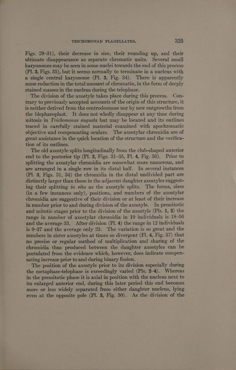 Figs. 29-31), their decrease in size, their rounding up, and their ultimate disappearance as separate chromatic units. Several small karyosomes may be seen in some nuclei towards the end of this process (Pl. 3, Figs. 35), but it seems normally to terminate in a nucleus with a single central karyosome (Pl. 3, Fig. 34). There is apparently some reduction in the total amount of chromatin, in the form of deeply stained masses in the nucleus during the telophase. The division of the axostyle takes place during this process. Con- trary to previously accepted accounts of the origin of this structure, it is neither derived from the centrodesmose nor by new outgrowths from the blepharoplast. It does not wholly disappear at any time during mitosis in Trichomonas augusta but may be located and its outlines traced in carefully stained material examined with apochromatic objective and compensating oculars. The axostylar chromidia are of great assistance in the quick location of the structure and the verifica- tion of its outlines. The old axostyle splits longitudinally from the club-shaped anterior end to the posterior tip (Pl. 3, Figs. 31-35, Pl. 4, Fig. 36). Prior to splitting the axostylar chromidia are somewhat more numerous, and are arranged in a single row in its distal half. In several instances (Pl. 8, Figs. 31, 34) the chromidia in the distal undivided part are distinctly larger than those in the adjacent daughter axostyles suggest- ing their splitting im situ as the axostyle splits. The forms, sizes. (in a few instances only), positions, and numbers of the axostylar chromidia are suggestive of their division or at least of their increase in number prior to and during division of the axostyle. In premitotic and mitotic stages prior to the division of the axostyle (Pls. 1, 2) the range in number of axostylar chromidia in 19 individuals is 18-56 and the average 33. After division (Pl. 4) the range in 12 individuals is 9-37 and the average only 23. The variation is so great and the numbers in sister axostyles at times so divergent (Pl. 4, Fig. 37) that no precise or regular method of multiplication and sharing of the chromidia thus produced between the daughter axostyles can be postulated from the evidence which, however, does indicate compen- sating increase prior to and during binary fission. _ The position of the axostyle prior to its division especially during the metaphase-telophase is exceedingly varied (Pls. 2-4). Whereas in the premitotic phase it is axial in position with the nucleus next to its enlarged anterior end, during this later period this end becomes more or less widely separated from either daughter nucleus, lying even at the opposite pole (Pl. 3, Fig. 30). As the division of the