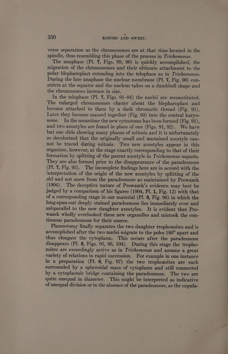 verse separation as the chromosomes are at that time located in the spindle, thus resembling this phase of the process in Trichomonas. The anaphase (Pl. 7, Figs. 89, 90) is quickly accomplished, the migration of the chromosomes and their ultimate attachment to the polar blepharoplast extending into the telophase as in Trichomonas. During the late anaphase the nuclear membrane (PI. 7, Fig. 90) con- stricts at the equator and the nucleus takes on a dumbbell shape and the chromosomes increase in size. In the telophase (Pl. 7, Figs. 91-94) the nuclei are reconstituted. The enlarged chromosomes cluster about the blepharoplast and become attached to them by a dark chromatic thread (Fig. 91). Later they become massed together (Fig. 93) into the central karyo- some. In the meantime the new cytostome has been formed (Fig. 91), and two axostyles are found in place of one (Figs. 91, 92). We have but one slide showing many phases of mitosis and it is unfortunately so decolorized that the originally small and unstained axostyle can- not be traced during mitosis. Two new axostyles appear in this organism, however, at the stage exactly corresponding to that of their formation by splitting of the parent axostyle in Trichomonas augusta. They are also formed prior to the disappearance of the paradesmose (Pl. 7, Fig. 93). The incomplete findings here are in accord with the interpretation of the origin of the new axostyles by splitting of the old and not anew from the paradesmose as maintained by Prowazek (1904). The deceptive nature of Prowazek’s evidence may best be judged by a comparison of his figures (1904, Pl. 1, Fig. 12) with that of a corresponding stage in our material (Pl. 8, Fig. 96) in which the long-spun-out deeply stained paradesmose lies immediately over and subparallel to the new daughter axostyles. It is evident that Pro- wazek wholly overlooked these new organelles and mistook the con- tinuous paradesmose for their source. : Plasmotomy finally separates the two daughter trophozoites and is accomplished after the two nuclei migrate to the poles 180° apart and thus elongate the cytoplasm. This occurs after the paradesmose disappears (PI. 8, Figs. 95, 96, 104). During this stage the tropho- zoites are exceedingly active as in Trichomonas and assume a great variety of relations in rapid succession. For example in one instance in a preparation (Pl. 8, Fig. 97) the two trophozoites are each surrounded by a spheroidal mass of cytoplasm and still connected by a cytoplasmic bridge containing the paradesmose. ‘The two are quite unequal in diameter. This might be interpreted as indicative of unequal division or in the absence of the paradesmose, as the copula-