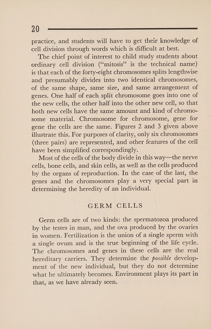 practice, and students will have to get their knowledge of cell division through words which is difficult at best. The chief point of interest to child study students about ordinary cell division (‘“‘mitosis” is the technical name) is that each of the forty-eight chromosomes splits lengthwise and presumably divides into two identical chromosomes, of the same shape, same size, and same arrangement of genes. One half of each split chromosome goes into one of the new cells, the other half into the other new cell, so that both new cells have the same amount and kind of chromo- some material. Chromosome for chromosome, gene for gene the cells are the same. Figures 2 and 3 given above illustrate this. For purposes of clarity, only six chromosomes (three pairs) are represented, and other features of the cell have been simplified correspondingly. Most of the cells of the body divide in this way—the nerve cells, bone cells, and skin cells, as well as the cells produced by the organs of reproduction. In the case of the last, the genes and the chromosomes play a very special part in determining the heredity of an individual. GERM CELLS Germ cells are of two kinds: the spermatozoa produced by the testes in man, and the ova produced by the ovaries in women. Fertilization is the union of a single sperm with a single ovum and is the true beginning of the life cycle. The chromosomes and genes in these cells are the real hereditary carriers. They determine the fosszble develop- ment of the new individual, but they do not determine what he ultimately becomes. Environment plays its part in that, as we have already seen.