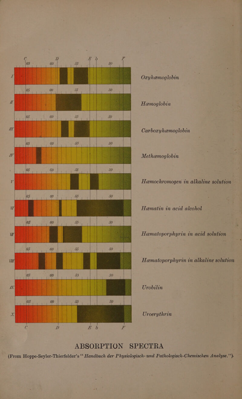Oaths Mien Hemoglobin Carboxyhemoglobin Methemoglobin Hemochromogen in alkaline solution | Hematin in acid alcohol Ww Hematoporphyrin in acid solution Vil Hematoporphyrin in alkaline solutzon. Urobilin Uroerythrin ABSORPTION SPECTRA (From Hoppe-Seyler-Thierfelder’s ‘‘ Handbuch der: Physiologisch- wnd Pathologisch-Chemischen Analyse.’’)