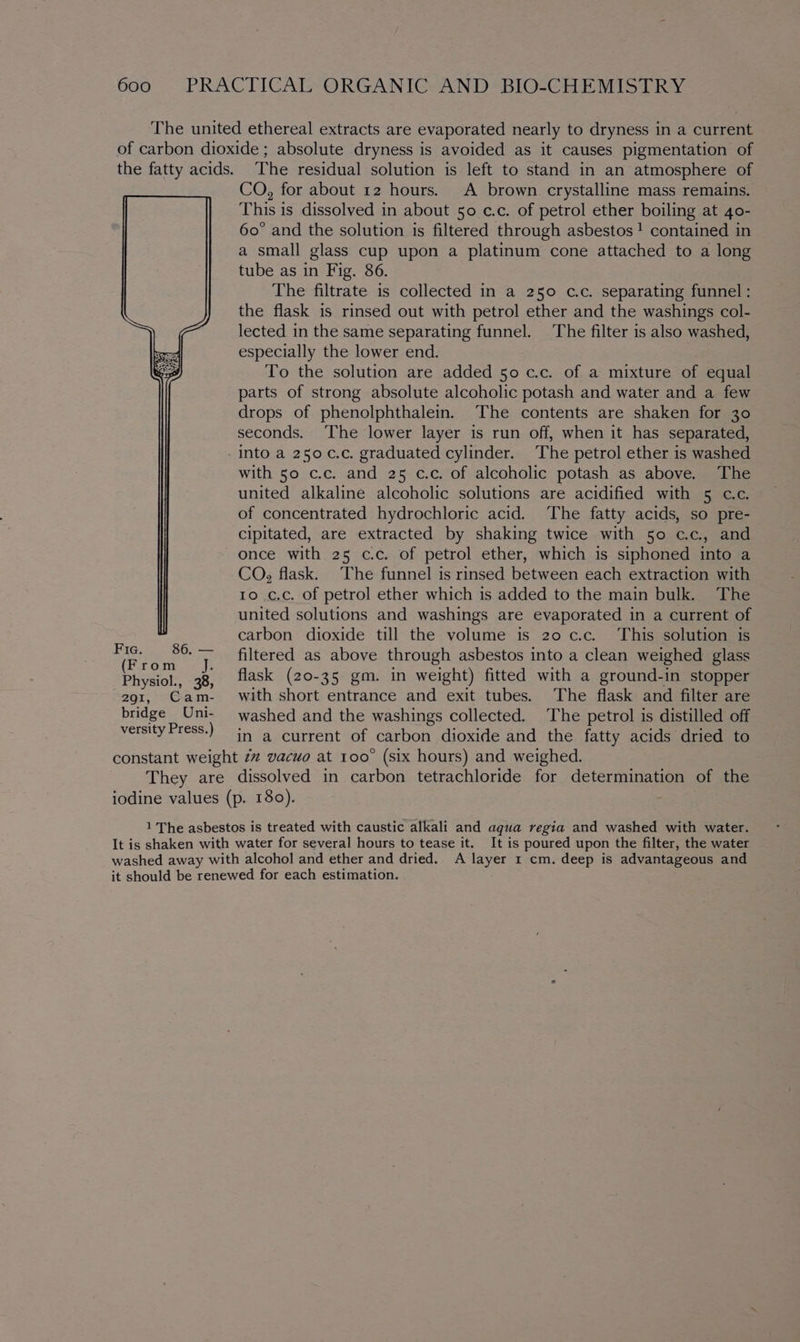 the fatty acids. Fic. : (From Jj. Physiol., 38, 291, Cam- bridge Uni- versity Press.) The residual solution is left to stand in an atmosphere of CO, for about 12 hours. A brown crystalline mass remains. This is dissolved in about 50 c.c. of petrol ether boiling at 40- 60° and the solution is filtered through asbestos! contained in a small glass cup upon a platinum cone attached to a long tube as in Fig. 86. The filtrate is collected in a 250 c.c. separating funnel : the flask is rinsed out with petrol ether and the washings col- lected in the same separating funnel. The filter is also washed, especially the lower end. To the solution are added 50 c.c. of a mixture of equal parts of strong absolute alcoholic potash and water and a few drops of phenolphthalein. The contents are shaken for 30 seconds. The lower layer is run off, when it has separated, with 50 c.c. and 25 c.c. of alcoholic potash as above. The united alkaline alcoholic solutions are acidified with 5 c.c. of concentrated hydrochloric acid. ‘The fatty acids, so pre- cipitated, are extracted by shaking twice with 50 cc, and once with 25 c.c. of petrol ether, which is siphoned into a CO, flask. The funnel is rinsed between each extraction with to c.c. of petrol ether which is added to the main bulk. The united solutions and washings are evaporated in a current of carbon dioxide till the volume is 20 c.c. This solution is filtered as above through asbestos into a clean weighed glass flask (20-35 gm. in weight) fitted with a ground-in stopper with short entrance and exit tubes. The flask and filter are washed and the washings collected. The petrol is distilled off in a current of carbon dioxide and the fatty acids dried to