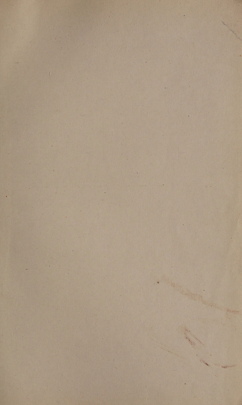 Pay ia De kaeom awe * \