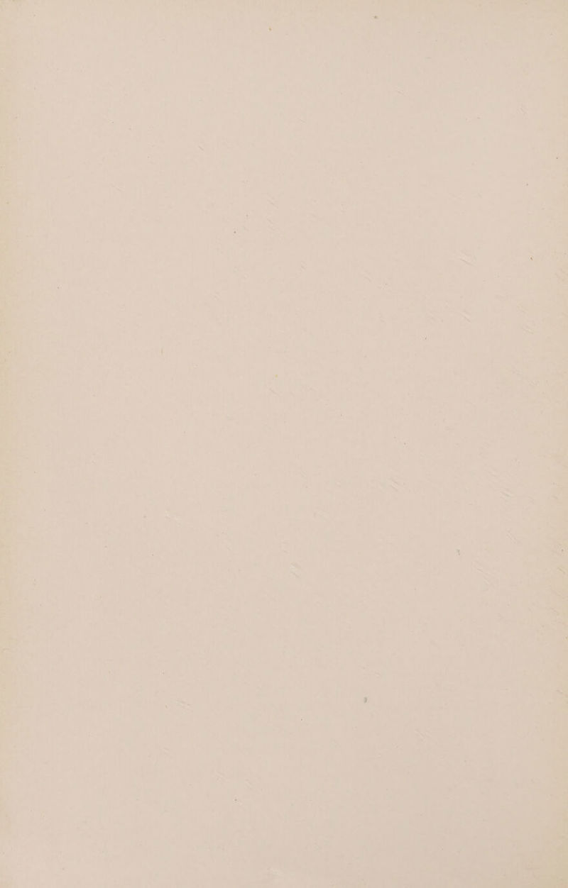 thal Dy: heeds 1D vo