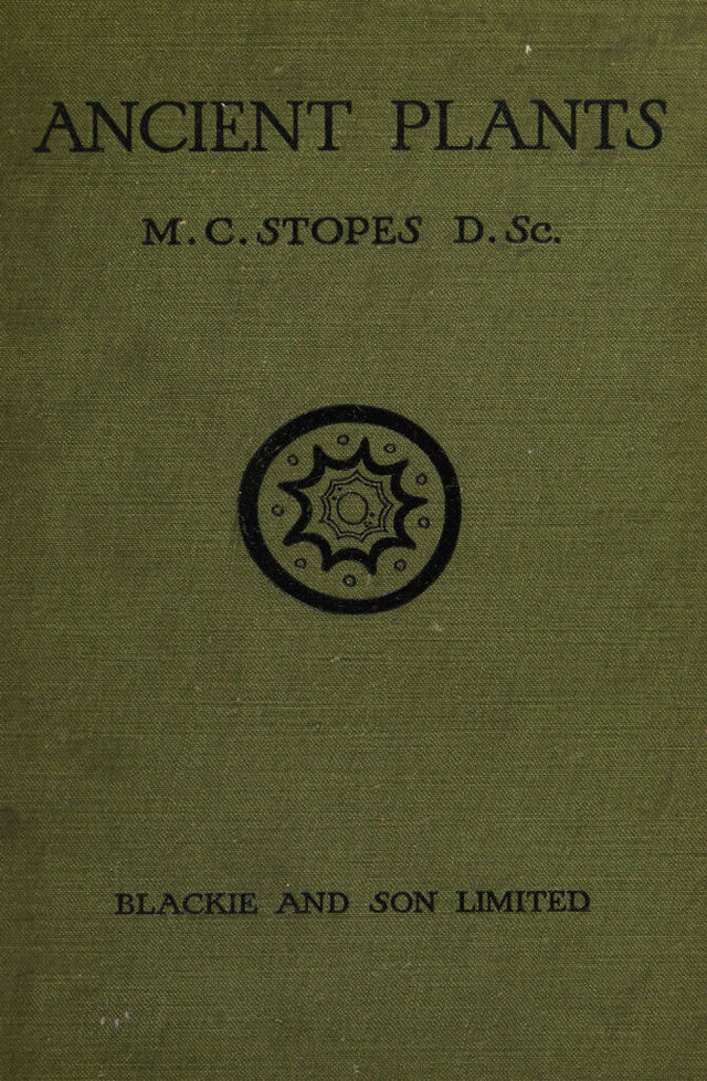 No text description is available for this image