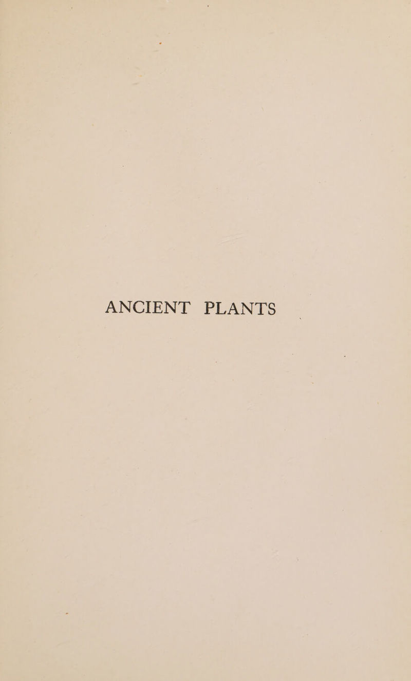 ANCIENT PLANTS