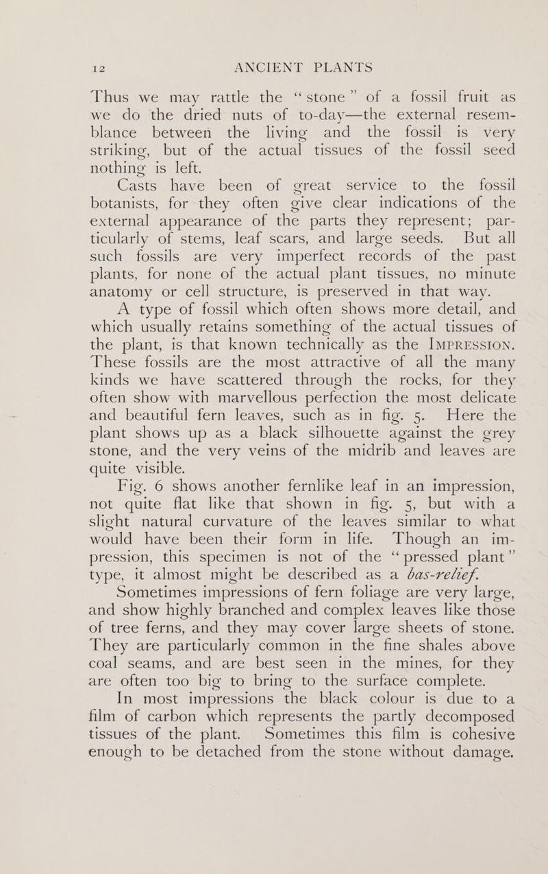 ) hus we may tactile the “ictone: 1 &lt;2 iessil aii as we do the dried nuts of to-day—the external resem- blance between the living and the fossil is very striking; but of the actual. tissues of the -fossill seed nothing is left. Casts. nave been. of “creat ssemice | tor Mie iescil botanists, for they often give clear indications of the external appearance of the parts they represent; par- ticularly of stems, leaf scars, and large seeds. But all such fossils are very amperfect records of the “past plants, for none of the actual plant tissues, no minute anatomy or cell structure, is preserved in that way. A type of fossil which often shows more detail, and which usually retains something of the actual tissues of the plant, is that known technically as the Impression, These fossils are the most attractive of all the many kinds we have scattered through the rocks, for they often show with marvellous perfection the most delicate and beautitul tem leaves,rstich asin ties 52 lene te plant shows up as a black silhouette against the grey stone, and the very veins of the midrib and leaves are quite visible. Fig. 6 shows another fernlike leaf in an impression, not quite flat like that shown in fig. 5, but with a slight natural curvature of the leaves similar to what would have been their form in life. Though an im- pression, this Specimen is mot of the “pressed plant type, it almost might be described as a das-relef. Sometimes impressions of fern foliage are very large, and show highly branched and complex leaves like those of tree ferns, and they may cover large sheets of stone. They are particularly common in the fine shales above coal seams, and are best seen in the mines, for they are often too big to bring to the surface complete. In most impressions the black colour is due to a film of carbon which represents the partly decomposed tissues of the plant. Sometimes this film is cohesive enough to be detached from the stone without damage.