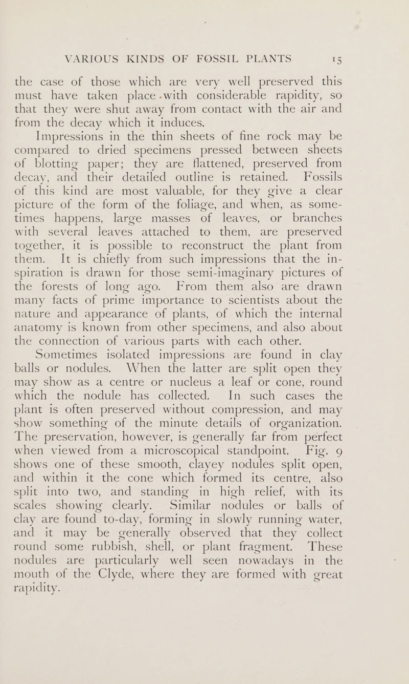 the case of those which are very well preserved this must have taken place-with considerable rapidity, so that they were shut away from contact with the air and from the decay which it induces. Impressions in the thin sheets of fine rock may be compared to dried specimens pressed between sheets of blotting paper; they are flattened, preserved from decay, and their detailed outliné is retained. Fossils of this kind are most valuable, for they give a clear picture of the form of the foliage, and when, as some- times happens, large masses of leaves, or branches with several leaves attached to them, are preserved together, it is possible to reconstruct the plant from them. It is chiefly from such impressions that the in- spiration is drawn for those semi-imaginary pictures of the forests of long ago. From them also are drawn many facts of prime importance to scientists about the nature and appearance of plants, of which the internal anatomy is known from other specimens, and also about the connection of various parts with each other. Sometimes isolated impressions are found in clay balls or nodules. When the latter are split open they may show as a centre or nucleus a leaf or cone, round winich the nodule has collected, “Im such’ cases the plant is often preserved without compression, and may show something of the minute details of organization. The preservation, however, is generally far from perfect when viewed from a microscopical standpoint. Fig. 9 shows one of these smooth, clayey nodules split open, and within it the cone which formed its centre, also split into two, and standing in high relief, with its scales showing clearly. Similar nodules or balls of clay are found to-day, forming in slowly running water, and it may be generally observed that they collect round some rubbish, shell, or plant fragment. These nodules are particularly well seen nowadays in the mouth of the Clyde, where they are formed with great rapidity.