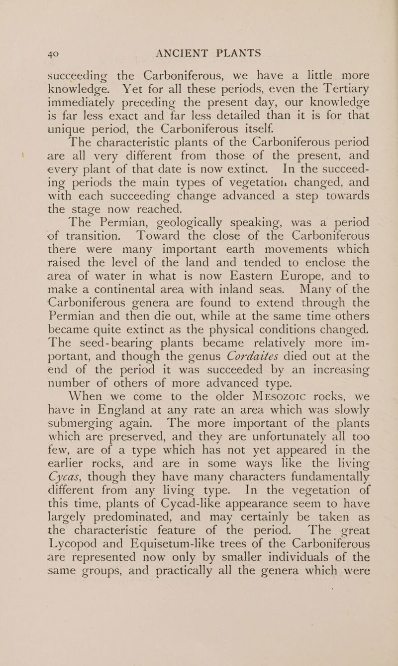 succeeding the Carboniferous, we have a little more knowledge. Yet for all these periods, even the Tertiary immediately preceding the present day, our knowledge is far less exact and far less detailed than it is for that unique period, the Carboniferous itself. | The characteristic plants of the Carboniferous period are all very different from those of the present, and every plant of that date is now extinct. In the succeed- ing periods the main types of vegetation changed, and with each succeeding change advanced a step towards the stage now reached. The Permian, geologically speaking, was a period of transition. Toward the close of the Carboniferous there were many important earth movements which raised the level of the land and tended to enclose the area of water in what is now Eastern Europe, and to make a continental area with inland seas. Many of the Carboniferous genera are found to extend through the Permian and then die out, while at the same time others became quite extinct as the physical conditions changed. The seed-bearing plants became relatively more im- portant, and though the genus Cordaztes died out at the end of the period it was succeeded by an increasing number of others of more advanced type. When we come to the older Mesozoic rocks, we have in England at any rate an area which was slowly submerging again. The more important of the plants which are preserved, and they are unfortunately all too few, are of a type which has not yet appeared in the earlier rocks, and are in some ways like the living Cycas, though they have many characters fundamentally different from any living type. In the vegetation of this time, plants of Cycad-like appearance seem to have largely predominated, and may certainly be taken as the characteristic feature of the period. The -great Lycopod and Equisetum-like trees of the Carboniferous are represented now only by smaller individuals of the same groups, and practically all the genera which were
