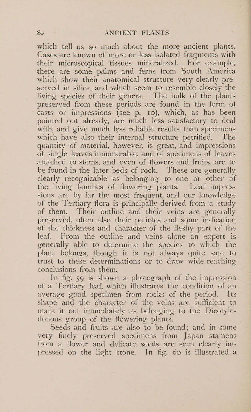 which tell us so much about the more ancient plants. Cases are known of more or less isolated fragments with their microscopical tissues mineralized. For example, there are some palms and ferns from South America which show their anatomical structure very clearly pre- served in silica, and which seem to resemble closely the living species of their genera. The bulk of the plants preserved from these periods are found in the form of casts or impressions (see p. 10), which, as has been pointed out already, are much less satisfactory to deal with, and give much less reliable results than specimens which have also their internal structure petrified. The quantity of material, however, is great, and impressions of single leaves innumerable, and of specimens of leaves attached to stems, and even of flowers and fruits, are to be found in the later beds of rock. These are generally clearly recognizable as belonging to one or other of the living families of flowering plants. Leaf impres- sions are by far the most frequent, and our knowledge of the Tertiary flora is principally derived from a study of them. Their outline and their veins are generally preserved, often also their petioles and some indication of the thickness and character of the fleshy part of the leaf. From the outline and veins alone an expert is generally able to determine the species to which the plant belongs, though it is not always quite safe to trust to these determinations or to draw wide-reaching conclusions from them. In fig. 59 is shown a photograph of the impression of a Tertiary leaf, which illustrates the condition of an average good specimen from rocks of the period. Its shape and the character of the veins are sufficient to mark it out immediately as belonging to the Dicotyle- donous group of the flowering plants. Seeds and fruits are also to be found; and in some very finely preserved specimens from Japan stamens from a flower and delicate seeds are seen clearly im- pressed on the light stone. In fig. 60 is illustrated a
