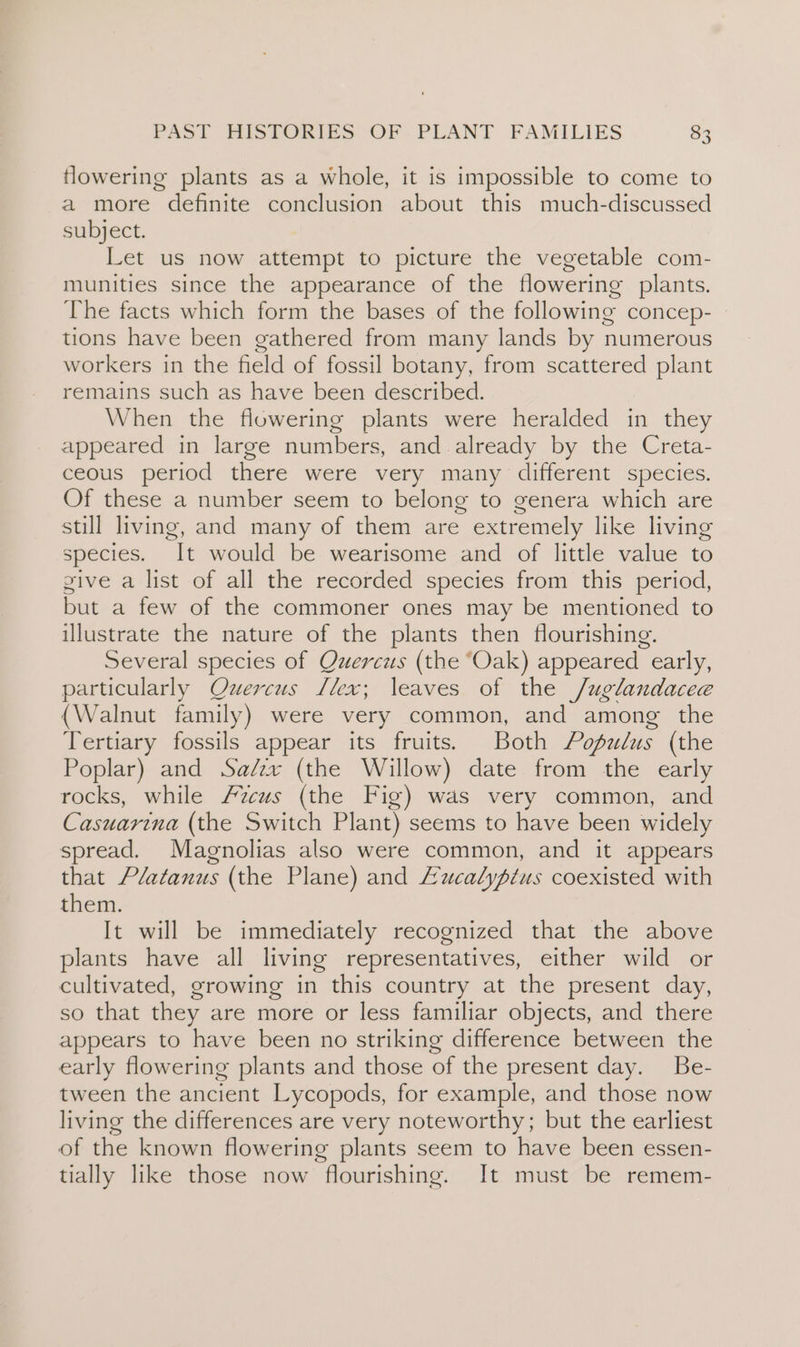 Howering plants as a whole, it is impossible to come to a more definite conclusion about this much-discussed subject. Let us now attempt to picture the vegetable com- munities since the appearance of the flowering plants. The facts which form the bases of the following concep- tions have been gathered from many lands by numerous workers in the field of fossil botany, from scattered plant remains such as have been described. When the flowering plants were heralded in they appeared in large numbers, and already by the Creta- ceous period there were very many different species. Of these a number seem to belong to genera which are still living, and many of them are extremely like living species. It would be wearisome and of little value to give a list of all the recorded species from this period, but a few of the commoner ones may be mentioned to illustrate the nature of the plants then flourishing. Several species of Quercus (the “Oak) appeared early, particularly Quercus lex; leaves of the /uglandacee (Walnut family) were very common, and among the Tertiary fossils appear its fruits. Both Populus (the Poplar) and Salzx (the Willow) date from the early rocks, while /7zcus (the Fig) was very common, and Casuarina (the Switch Plant) seems to have been widely spread. Magnolias also were common, and it appears that Platanus (the Plane) and Lucalyptus coexisted with them. It will be immediately recognized that the above plants have all living representatives, either wild or cultivated, growing in this country at the present day, so that they are more or less familiar objects, and there appears to have been no striking difference between the early flowering plants and those of the present day. Be- tween the ancient Lycopods, for example, and those now living the differences are very noteworthy; but the earliest of the known flowering plants seem to have been essen- tially like those now flourishing. It must be remem-