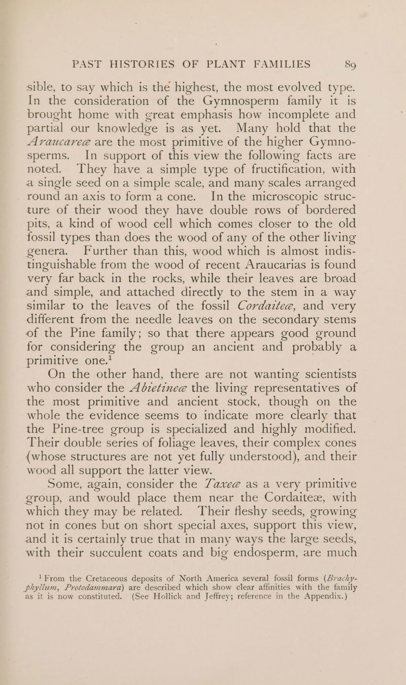 sible, to say which is the highest, the most evolved type. In the consideration of the Gymnosperm family it is brought home with great emphasis how incomplete and partial our knowledge is as yet. Many hold that the Araucareeé are the most primitive of the higher Gymno- sperms. In support of this view the following facts are noted. They have a simple type of fructification, with a single seed ona simple scale, and many scales arranged round an axis to form acone. In the microscopic struc- ture of their wood they have double rows of bordered pits, a kind of wood cell which comes closer to the old fossil types than does the wood of any of the other living genera. Further than this, wood which is almost indis- tinguishable from the wood of recent Araucarias is found very far back in the rocks, while their leaves are broad and simple, and attached directly to the stem in a way similar to the leaves of the fossil Cordaztee, and very different from the needle leaves on the secondary stems of the Pine family; so that there appears good ground for considering the group an ancient and probably a primitive one.’ On the other hand, there are not wanting scientists who consider the Adze¢znee the living representatives of the most primitive and ancient stock, though on the whole the evidence seems to indicate more clearly that the Pine-tree group is specialized and highly modified. Their double series of foliage leaves, their complex cones (whose structures are not yet fully understood), and their wood all support the latter view. Some, again, consider the 7axeg@ as a very primitive group, and would place them near the Cordaiteze, with which they may be related. Their fleshy seeds, growing not in cones but on short special axes, support this view, and it is certainly true that in many ways the large seeds, with their succulent coats and big endosperm, are much 1From the Cretaceous deposits of North America several fossil forms (Bvachy- phyllum, Protodammara) are described which show clear affinities with the family as it is now constituted. (See Hollick and Jeffrey; reference in the Appendix.)