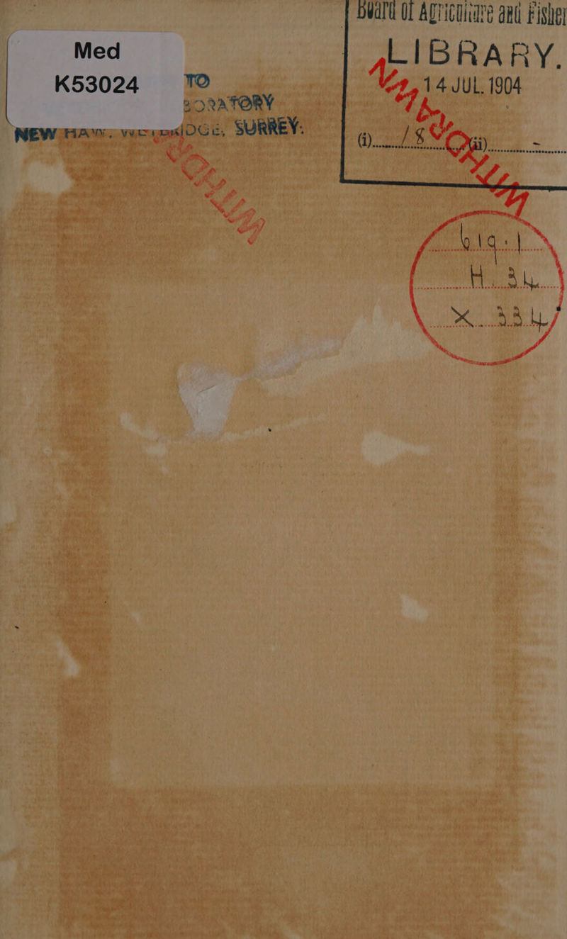 y Dedrt OL aa aut i K53024 14 JUL. 1904 BORATORY Voy. acne ic i a a SURREY: a Oc. ee,