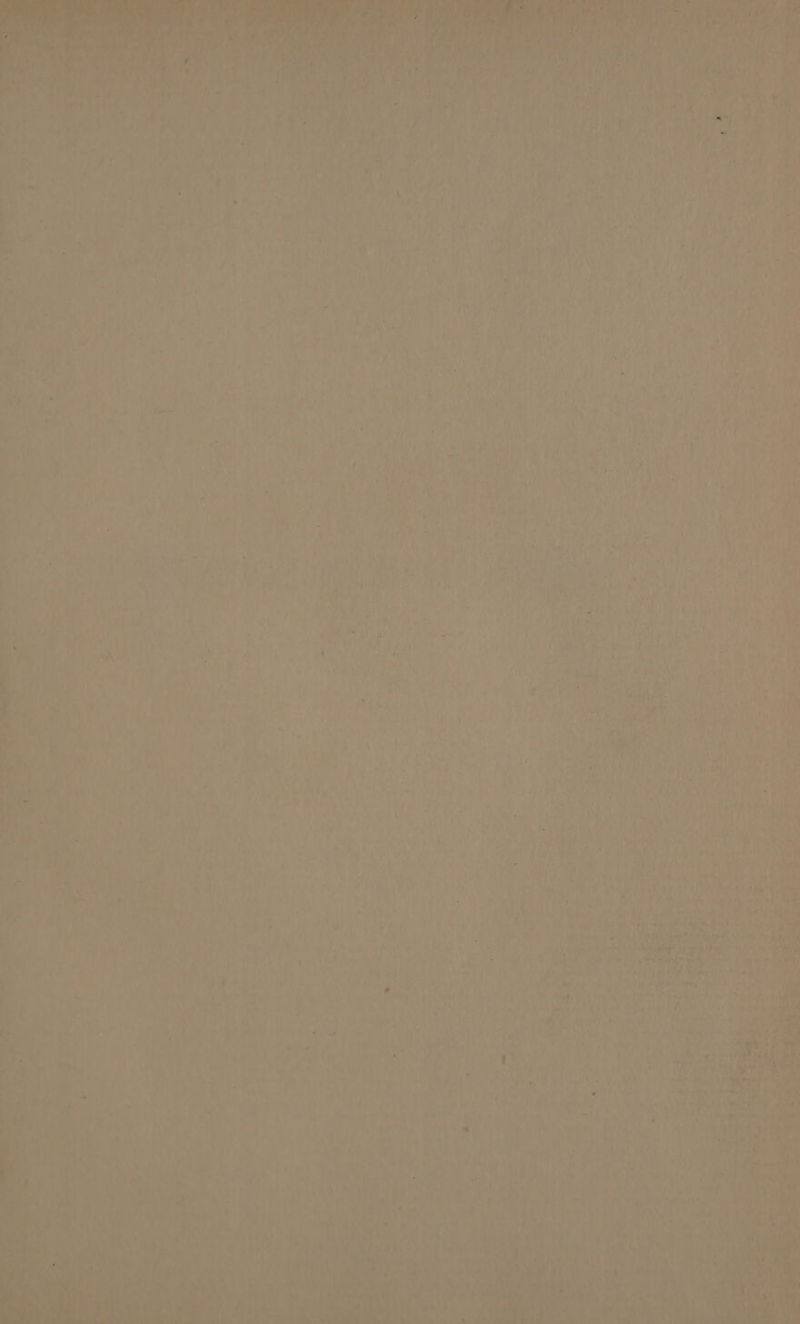 ie ‘ tas ba a iy’ “4 he iy, $4 Ww, pn e SUNR oa bt