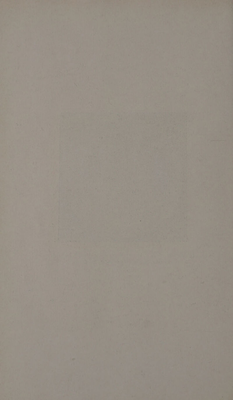 ee 17 a ah Se? e : 4 an 4 ae . wl