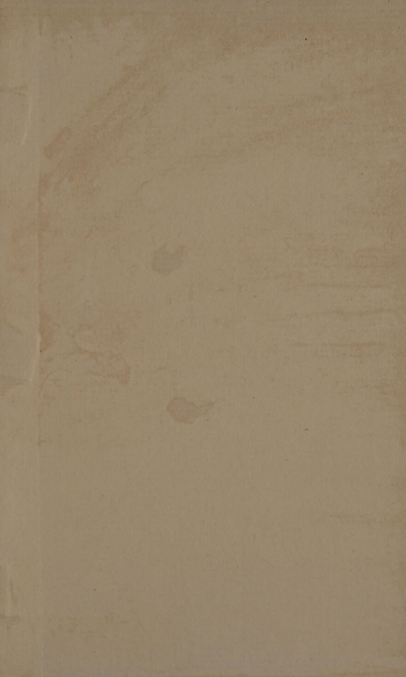 os ‘ly ae eee l r shes ee See ne ea oP ‘hn yileanicae mo ie et be aT q a; E : ' ' ri oh i< 18 ee ae “ie pt fee } n