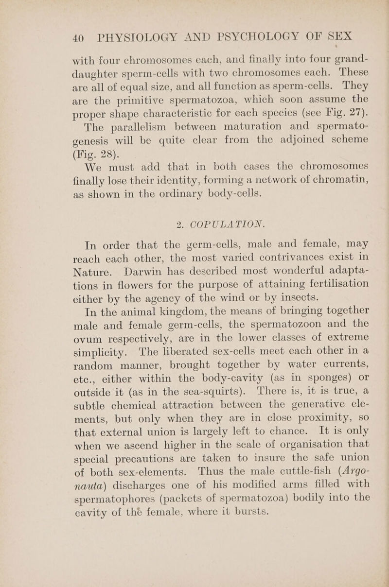 with four chromosomes each, and finally into four grand- daughter sperm-cells with two chromosomes each. These are all of equal size, and all function as sperm-cells. They are the primitive spermatozoa, which soon assume the proper shape characteristic for each species (see Fig. 27). The parallelism between maturation and spermato- genesis will be quite clear from the adjoined scheme (Fig. 28). We must add that in both cases the chromosomes finally lose their identity, forming a network of chromatin, as shown in the ordinary body-cells. 2nOOr ULATIONS In order that the germ-cells, male and female, may reach each other, the most varied contrivances exist in Nature. Darwin has described most wonderful adapta- tions in flowers for the purpose of attaining fertilisation either by the agency of the wind or by insects. In the animal kingdom, the means of bringing together male and female germ-cells, the spermatozoon and the ovum respectively, are in the lower classes of extreme simplicity. The liberated sex-cells meet each other in a random manner, brought together by water currents, etc., either within the body-cavity (as in sponges) or outside it (as in the sea-squirts). There is, it is true, a subtle chemical attraction between the generative ele- ments, but only when they are in close proximity, so that external union is largely left to chance. It is only when we ascend higher in the scale of organisation that special precautions are taken to insure the safe union of both sex-elements. Thus the male cuttle-fish (A7rgo- nauta) discharges one of his modified arms filled with spermatophores (packets of spermatozoa) bodily into the cavity of the female, where it bursts.