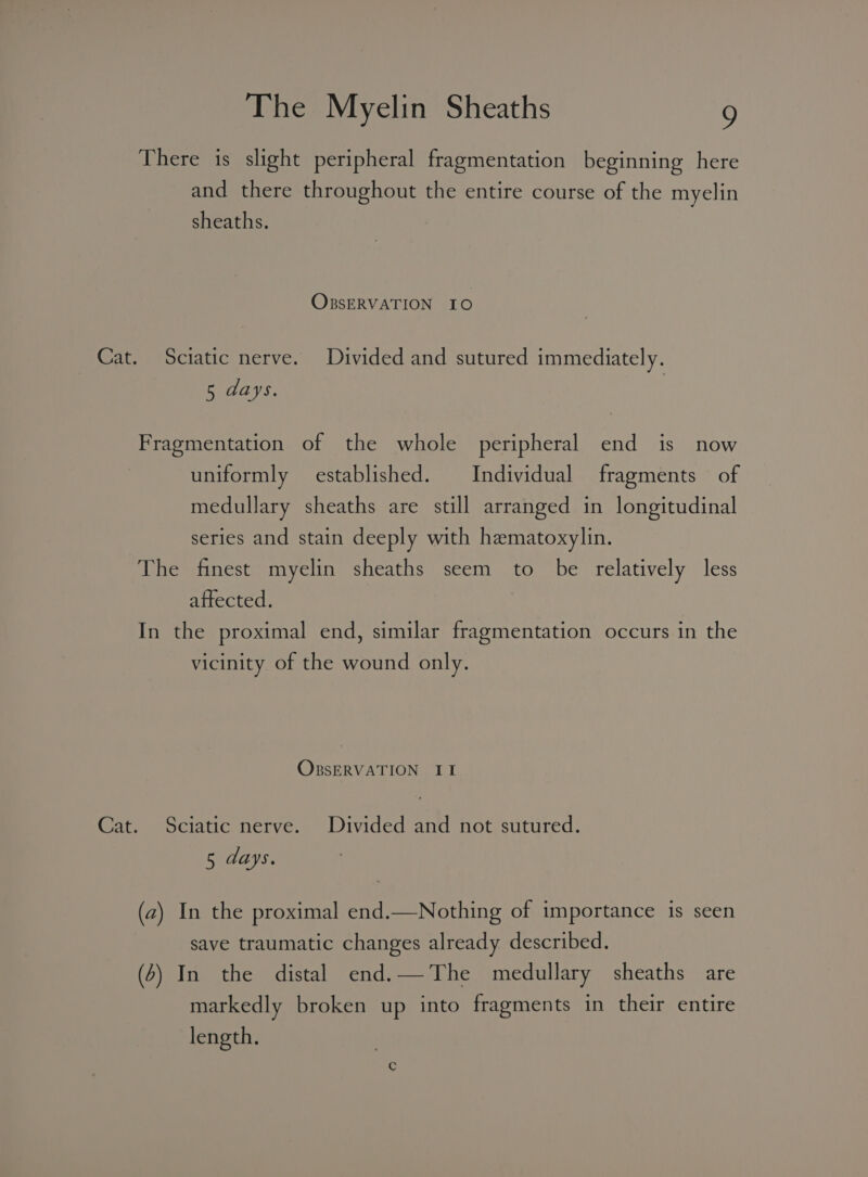 There is slight peripheral fragmentation beginning here and there throughout the entire course of the myelin sheaths. OBSERVATION IO Cat. Sciatic nerve. Divided and sutured immediately. 5 days. Fragmentation of the whole peripheral end is now uniformly — established. Individual fragments of medullary sheaths are still arranged in longitudinal series and stain deeply with hematoxylin. The finest myelin sheaths seem to be relatively less affected. In the proximal end, similar fragmentation occurs in the vicinity of the wound only. OBSERVATION II Cat. Sciatic nerve. Divided and not sutured. 5 days. (2) In the proximal end.—Nothing of importance is seen save traumatic changes already described. (4) In the distal end.—The medullary sheaths are markedly broken up into fragments in their entire length.
