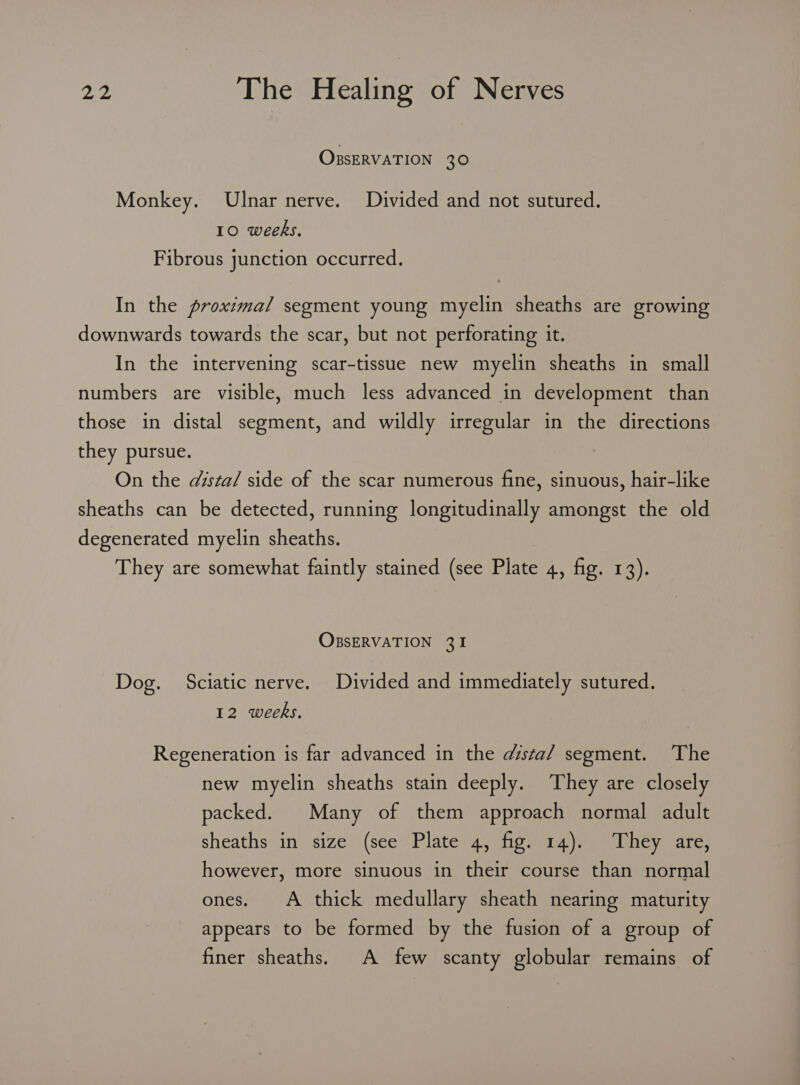 OBSERVATION 30 Monkey. Ulnar nerve. Divided and not sutured. 10 weeks. Fibrous junction occurred. In the proxima/ segment young myelin sheaths are growing downwards towards the scar, but not perforating it. In the intervening scar-tissue new myelin sheaths in small numbers are visible, much less advanced in development than those in distal segment, and wildly irregular in the directions they pursue. On the dista/ side of the scar numerous fine, sinuous, hair-like sheaths can be detected, running longitudinally amongst the old degenerated myelin sheaths. They are somewhat faintly stained (see Plate 4, fig. 13). OBSERVATION 31 Dog. Sciatic nerve. Divided and immediately sutured. 12 weeks. Regeneration is far advanced in the dista/ segment. ‘The new myelin sheaths stain deeply. They are closely packed. Many of them approach normal adult sheaths im’ size) (see Plates 4y igmiaajias Dhey sare, however, more sinuous in their course than normal ones. A thick medullary sheath nearing maturity appears to be formed by the fusion of a group of finer sheaths. A few scanty globular remains of