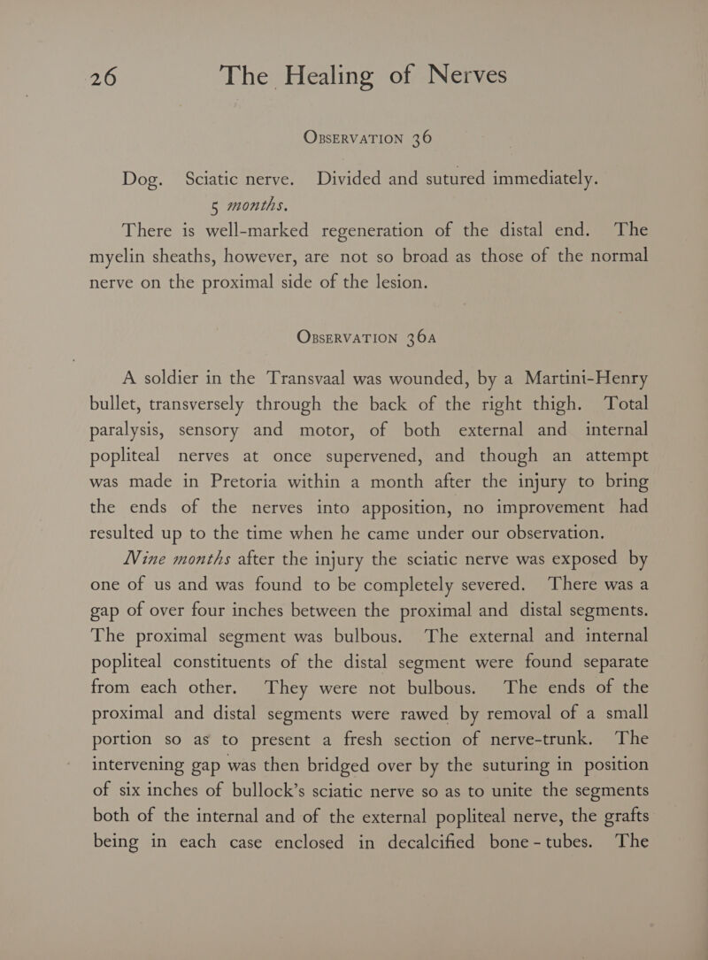 OBSERVATION 36 Dog. Sciatic nerve. Divided and sutured immediately. 5 months. There is well-marked regeneration of the distal end. The myelin sheaths, however, are not so broad as those of the normal nerve on the proximal side of the lesion. OBSERVATION 360A A soldier in the Transvaal was wounded, by a Martini-Henry bullet, transversely through the back of the right thigh. Total paralysis, sensory and motor, of both external and_ internal popliteal nerves at once supervened, and though an attempt was made in Pretoria within a month after the injury to bring the ends of the nerves into apposition, no improvement had resulted up to the time when he came under our observation. WVine months after the injury the sciatic nerve was exposed by one of us and was found to be completely severed. There was a gap of over four inches between the proximal and distal segments. The proximal segment was bulbous. The external and internal popliteal constituents of the distal segment were found separate from each other. They were not bulbous. The ends of the proximal and distal segments were rawed by removal of a small portion so as to present a fresh section of nerve-trunk. The intervening gap was then bridged over by the suturing in position of six inches of bullock’s sciatic nerve so as to unite the segments both of the internal and of the external popliteal nerve, the grafts being in each case enclosed in decalcified bone-tubes. The