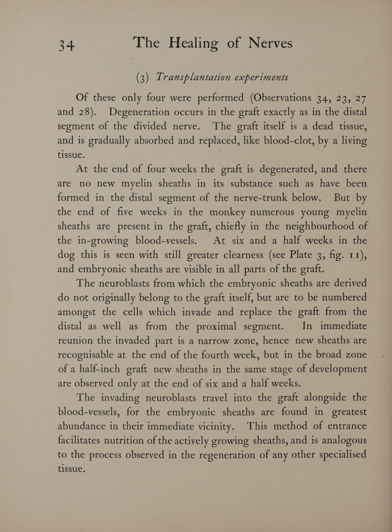 (3) Transplantation experiments Of these only four were performed (Observations 34, 23, 27 and 28). Degeneration occurs in the graft exactly as in the distal segment of the divided nerve. The graft itself is a dead tissue, and is gradually absorbed and replaced, like blood-clot, by a living | tissue. At the end of four weeks the graft is degenerated, and there are no new myelin sheaths in its substance such as have been formed in the distal segment of the nerve-trunk below. But by the end of five weeks in the monkey numerous young myelin sheaths are present in the graft, chiefly in the neighbourhood of the in-growing blood-vessels. At six and a half weeks in the dog this is seen with still greater clearness (see Plate 3, fig. rr), and embryonic sheaths are visible in all parts of the graft. The neuroblasts from which the embryonic sheaths are derived do not originally belong to the graft itself, but are to be numbered amongst the cells which invade and replace the graft from the distal as well as from the proximal segment. In immediate reunion the invaded part is a narrow zone, hence new sheaths are recognisable at the end of the fourth week, but in the broad zone of a half-inch graft new sheaths in the same stage of development are observed only at the end of six and a half weeks. The invading neuroblasts travel into the graft alongside the blood-vessels, for the embryonic sheaths are found in greatest abundance in their immediate vicinity. This method of entrance facilitates nutrition of the actively growing sheaths, and is analogous to the process observed in the regeneration of any other specialised tissue,