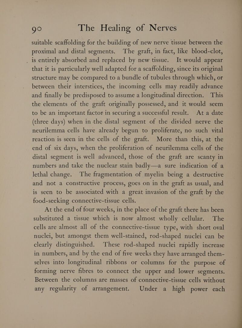 suitable scaffolding for the building of new nerve tissue between the proximal and distal segments. The graft, in fact, like blood-clot, ds entirely absorbed and replaced by new tissue. It would appear that it is particularly well adapted for a scaffolding, since its original structure may be compared to a bundle of tubules through which, or between their interstices, the incoming cells may readily advance and finally be predisposed to assume a longitudinal direction. This the elements of the graft originally possessed, and it would seem to be an important factor in securing a successful result. Ata date (three days) when in the distal segment of the divided nerve the neurilemma cells have already begun to proliferate, no such vital reaction is seen in the cells of the graft. More than this, at the end of six days, when the proliferation of neurilemma cells of the distal segment is well advanced, those of the graft are scanty in numbers and take the nuclear stain badly—a sure indication of a lethal change. The fragmentation of myelin being a destructive and not a constructive process, goes on in the graft as usual, and is seen to be associated with a great invasion of the graft by the food-seeking connective-tissue cells. At the end of four weeks, in the place of the graft there has been substituted a tissue which is now almost wholly cellular. The cells are almost all of the connective-tissue type, with short oval nuclei, but amongst them well-stained, rod-shaped nuclei can be clearly distinguished. These rod-shaped nuclei rapidly increase in numbers, and by the end of five weeks they have arranged them- selves into longitudinal ribbons or columns for the purpose of forming nerve fibres to connect the upper and lower segments. Between the columns are masses of connective-tissue cells without any regularity of arrangement. Under a high power each