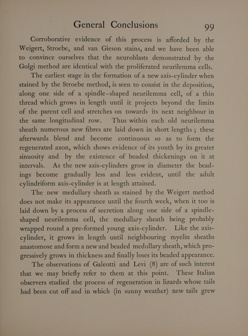 Corroborative evidence of this process is aftorded by the Weigert, Stroebe, and van Gieson stains, and we have been able to convince ourselves that the neuroblasts demonstrated by the Golgi method are identical with the proliferated neurilemma cells. The earliest stage in the formation of a new axis-cylinder when stained by the Stroebe method, is seen to consist in the deposition, along one side of a spindle-shaped neurilemma cell, of a thin thread which grows in length until it projects beyond the limits of the parent cell and stretches on towards its next neighbour in the same longitudinal row. Thus within each old neurilemma sheath numerous new fibres are laid down in short lengths ; these afterwards blend and become continuous so as to form the regenerated axon, which shows evidence of its youth by its greater sinuosity and by the existence of beaded thickenings on it at intervals. As the new axis-cylinders grow in diameter the bead- ings become gradually less and less evident, until the adult cylindriform axis-cylinder is at length attained. The new medullary sheath as stained by the Weigert method does not make its appearance until the fourth week, when it too 1s laid down by a process of secretion along one side of a spindle- shaped neurilemma cell, the medullary sheath being probably wrapped round a pre-formed young axis-cylinder. Like the axis- cylinder, it grows in length until neighbouring myelin sheaths anastomose and form a newand beaded medullary sheath, which pro- gressively grows in thickness and finally loses its beaded appearance. The observations of Galeotti and Levi (8) are of such interest that we may briefly refer to them at this point. These Italian observers studied the process of regeneration in lizards whose tails had been cut off and in which (in sunny weather) new tails grew