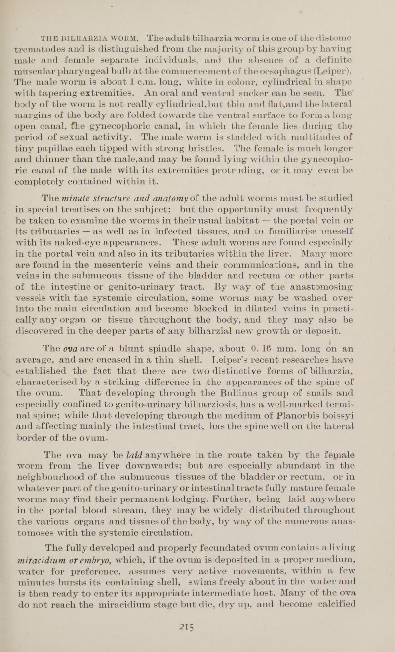 THE BILHARZIA WORM. Theadult bilharzia worm is one of the distome trematodes and is distinguished from the majority of this group by having male and female separate individuals, and the absence of a definite muscular pharyngeal bulb at the commencement of the oesophagus (Leiper). The male worm is about 1 ¢.m. long, white in colour, cylindrical in shape with tapering extremities. An oral and ventral sucker can be seen. The’ body of the worm is not really cylindrical, but thin and flat,and the lateral margins of the body are folded towards the ventral surface to form a long open canal, the gynecophoric canal, in which the female lies during the period of sexual activity. The male worm is studded with multitudes of tiny papillae each tipped with strong bristles. The female is much longer and thinner than the male,and may be found lying within the gynecopho- ric canal of the male with its extremities protruding, or it may even be completely contained within it. ; The minute structure and anatomy of the adult worms must be studied in special treatises on the subject; but the opportunity must frequently be taken to examine the worms in their usual habitat — the portal vein or its tributaries — as well asin infected tissues, and to familiarise oneself with its naked-eye appearances. These adult worms are found especially in the portal vein and also in its tributaries within the liver. Many more are found in the mesenteric veins and their communications, and in the veins in the submucous tissue of the bladder and rectum or other parts of the intestine or genito-urinary tract. By way of the anastomosing vessels with the systemic circulation, some worms may be washed over into the main circulation and become blocked in dilated veins in practi- eally any organ or tissue throughout the body, and they may also be discovered in the deeper parts of any bilharzial new growth or deposit. The ova are of a blunt spindle shape, about 0. 16 mm. long on an average, and are encased in a thin shell. Leiper’s recent researches have established the fact that there are two distinctive forms of bilharzia, characterised by a striking difference in the appearances of the spine of the ovum. That developing through the Bullinus group of snails and especially confined to genito-urinary bilharziosis, has a well-marked termi- nal spine; while that developing through the medium of Planorbis boissyi and affecting mainly the intestinal tract, has the spine well on the lateral border of the ovum. The ova may. be laid anywhere in the route taken by the female worm from the liver downwards; but are especially abundant in the neighbourhood of the submucous tissues of the bladder or rectum, or in whatever part of the genito-urinary or intestinal tracts fully mature female worms may find their permanent lodging. Further, being laid anywhere in the portal blood stream, they may be widely distributed throughout the various organs and tissues of the body, by way of the numerous anas- tomoses with the systemie circulation. The fully developed and properly fecundated ovum contains a living miracidium or embryo, which, if the ovum is:deposited in a proper medium, water for preference, assumes very active movements, within a few minutes bursts its containing shell, swims freely about in the water and is then ready to enter its appropriate intermediate host. Many of the ova do not reach the miracidium stage but die, dry up, and become calcified gis