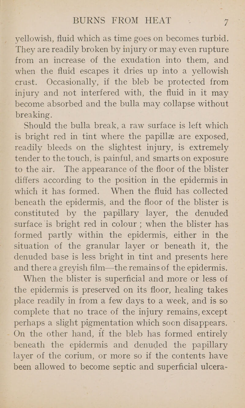 yellowish, fluid which as time goes on becomes turbid. They are readily broken by injury or may even rupture from an increase of the exudation into them, and when the fluid escapes it dries up into a yellowish crust. Occasionally, if the bleb be protected from injury and not interfered with, the fluid in it may become absorbed and the bulla may collapse without breaking. Should the bulla break, a raw surface is left which is bright red in tint where the papille are exposed, readily bleeds on the slightest injury, is extremely tender to the touch, is painful, and smarts on exposure to the air. The appearance of the floor of the blister differs according to the position in the epidermis in which it has formed. When the fluid has collected beneath the epidermis, and the floor of the blister is constituted by the papillary layer, the denuded surface is bright red in colour ; when the blister has formed partly within the epidermis, either in the situation of the granular layer or beneath it, the denuded base is less bright in tint and presents here and there a greyish film—the remains of the epidermis. When the blister is superficial and more or less of the epidermis is preserved on its floor, healing takes place readily in from a few days to a week, and is so complete that no trace of the injury remains, except perhaps a slight pigmentation which soon disappears. ~ On the other hand, if the bleb has formed entirely beneath the epidermis and denuded the papillary layer of the corium, or more so if the contents have been allowed to become septic and superficial ulcera-