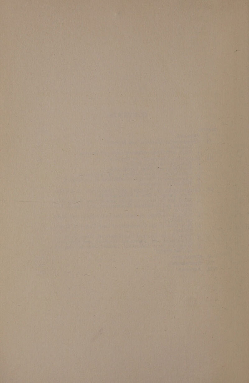 r wee 2% {4 ws us: ee fe)