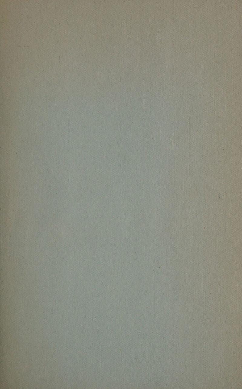 a Af una fi yoNaat sly i cy ; i at Cy Na ‘i A ; (vie Mi aK AW ‘ ne ad Rv “EAD i Acts Saan LiNNea 4 nhs aly : Hye K i ue i AR My Ley } fy } Wy \ Wid ie y \ je Wht Sa \ yin \ ‘i Wy 1 l ni “int i ay U ped have Mite yb i Ibn ai DN ¥ Hah f ah aT HOR it ATA Ht Mee i) Na 4 iN ee atl 1 K' {* ti WU oy’ 1D iyi i {} ry it Se Sis ——o ana SS ena