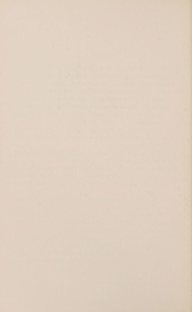 o i i. AS &gt; Ole Se a aa, AON, z bs oS — ' ‘ yy &gt; es a) “ = ” 2 a 3 = ee 4 } ae { = is ' : . Sy e &gt; | .. weg a § a : &gt; RW rs &gt; 7 aa = 7 al 7 _— Nig he: ky ; an : - 9 7 ’ . . : - : a - re. ~ 7 - = _ is — oo 7 s. _ - ‘i a : = am 7 Sa wlan - nt 2 an : aad ean 7 — a , ~ 7 — - 7 &lt; ae a = 1; ae