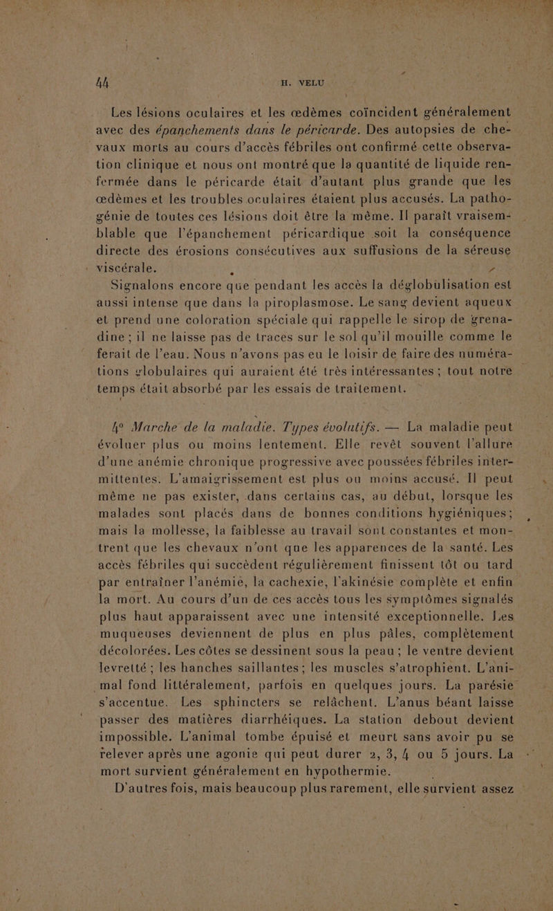 4h : H. VELU Les lésions oculaires et les œdèmes coïncident généralement avec des épanchements dans le péricarde. Des autopsies de che- vaux morts au cours d’accès fébriles ont confirmé cette observa- fermée dans le péricarde était d’autant plus grande que les œdèmes et les troubles oculaires étaient plus accusés. La patho- génie de toutes ces lésions doit être la même. Il paraît vraisem- blable que l’épanchement péricardique soit la conséquence directe des érosions consécutives aux suffusions de la séreuse viscérale. 4 e Signalons encore que pendant les accès la déglobulisation est aussi intense que dans la piroplasmose. Le sang devient aqueux et prend une coloration spéciale qui rappelle le sirop de grena- dine ; il ne laisse pas de traces sur le sol qu’il mouille comme Île ferait de l’eau. Nous n’avons pas eu le loisir de faire des numéra- tions vlobulaires qui auraient été très intéressantes ; tout notre temps était absorbé par les essais de traitement. | 4° Marche de la maladie. Types évolutifs. — La maladie peut évoluer plus ou moins lentement. Elle revêt souvent l'allure d’une anémie chronique progressive avec poussées fébriles inter- mittentes. L'amaigrissement est plus ou moins accusé. Il peut même ne pas exister, dans certains cas, au début, lorsque les malades sont placés dans de bonnes conditions hygiéniques; mais la mollesse, la faiblesse au travail sont constantes et mon- trent que les chevaux n’ont que les apparences de la santé. Les accès fébriles qui succèdent régulièrement finissent tôt ou tard par entraîner l’anémie, la cachexie, l'akinésie complète et enfin la mort. Au cours d’un de ces accès tous les symptômes signalés plus haut apparaissent avec une intensité exceptionnelle. Les muqueuses deviennent de plus en plus pâles, complètement décolorées. Les côtes se dessinent sous la peau; le ventre devient levretté ; les hanches saillantes : les muscles s’atrophient. L'ani- s’accentue. Les sphincters se relâchent. L’anus béant laisse passer des matières diarrhéiques. La station debout devient impossible. L'animal tombe épuisé et meurt sans avoir pu se mort survient généralement en ce D'autres fois, mais beaucoup plus rarement, elle survient assez