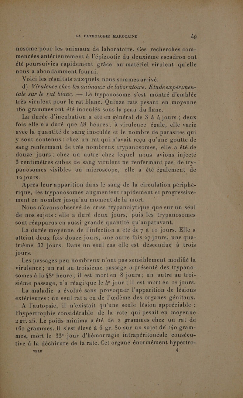 DL | \ nosome pour les animaux de laboratoire. Ces recherches com- mencées antérieurement à l’épizootie du deuxième escadron ont été poursuivies rapidement grâce au matériel virulent qu’elle nous a abondamment fourni. | Voici les résultats auxquels nous sommes arrivé. d) Virulence chez les animaux de laboratoire. Etude expérimen- tale sur le rat blanc. — Le trypanosome s’est montré d'emblée très virulent pour le rat blanc. Quinze rats pesant en moyenne La durée d’incubation a été en général de 3 à 4 jours ; deux fois elle n’a duré que 48 heures; à virulence égale, elle varie avec la quantité de sang inoculée et le nombre de parasites qui y sont contenus: chez un rat qui n’avait reçu qu’une goutte de sang renfermant de très nombreux trypanosomes, elle_a été de douze jours; chez un autre chez lequel nous avions, injecté 3 centimètres cubes de sang virulent ne renfermant pas de try- panosomes visibles au microscope, elle a été également de 12 Jours. | ; Après leur apparition dans le sang de la circulation périphé- rique, les trypanosomes augmentent rapidement et progressive- ment en nombre jusqu au moment dela mort. | Nous n’avons observé de crise trypanolytique que sur un seul de nos sujets : elle a duré deux jours, puis les trypanosomes sont réapparus en aussi grande quantité qu'auparavant. atteint deux fois douze jours, une autre fois 27 Jours, une qua- trième 33 jours. Dans un seul cas elle est descendue à trois jours. Les passages peu nombreux n’ont pas sensiblement modifié la virulence ; un rat au troisième passage a présenté des trypano- somes à la 48e heure; il est morten 8 jours; un autre au troi- sième passage, n’a réagi que le 4° jour ; il est mort en r2 jours. La maladie a évolué sans provoquer l’apparition de lésions extérieures : un seul rat a eu de l’œdème des organes génitaux. A l’autopsie, il n'existait qu'une seule lésion appréciable : l’hypertrophie considérable de la rate qui pesait en moyenne. 2 gr. 25. Le poids minima a été de 2 grammes chez un rat de 160 grammes. Il s'est élevé à 6 gr. 80 sur un sujet de 140 gram- mes, mort le 33° jour d’hémorragie intrapéritonéale consécu- tive à la déchirure de la rate. Cet organe énormément hypertro- VELU LA