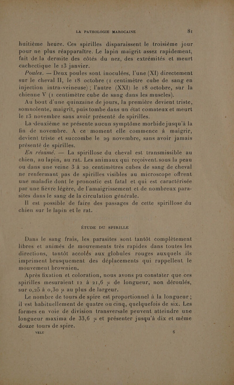 huitième heure. Ces spirilles disparaissent le troisième jour pour ne plus réapparaître. Le lapin maigrit assez rapidement, fait de la dermite des côtés du nez, des extrémités et meurt cachectique le 13 janvier. Poules. — Deux poules sont clan l’une (XI) directement sur le cheval IT, le 18 octobre (1 centimètre cube de sang en injection intra-veineuse) ; l’autre (XXI) le 18 octobre, sur la chienne V (1 centimètre cube de sang dans les muscles). Au bout d’une quinzaine de jours, la première devient triste, somnolente, maigrit, puis tombe dans un état comateux et meurt le 13 novembre sans avoir présenté de spirilles. La ‘deuxième ne présente aucun symptôme morbide jusqu’à la fin de novembre. À ce moment elle commence à maigrir, devient triste et succombe le 29 novembre, sans avoir Jamais présenté de spirilles. En résumé. — La spirillose du cheval est transmissible au chien, au lapin, au rat. Les animaux qui reçoivent.sous la peau ou dans une veine 3 à 20 centimètres cubes de sang de cheval ne renfermant pas de spirilles visibles au microscope offrent uué maladie dont le pronostic est fatal et qui est caractérisée par une fièvre légère, de l'amaigrissement et de nombreux para- sites dans le sang de la circulation générale. Il est possible de faire des passages de cette spirillose du chien sur le lapin et le rat. ÉTUDE DU SPIRILLE Dans le sang frais, les parasites sont tantôt complètement libres et animés de mouvements très rapides dans toutes les directions, tantôt accolés aux globules rouges auxquels ils impriment brusquement des déplacements qui rappellent Île mouvement brownien. Après fixation et coloration, nous avons pu constater que ces spirilles mesuraient 12 à 21,6 u de longueur, non déroulés, sur 0,25 à 0,30 n au plus de Rene Le bre de tours de spire est proportionnel à [a longueur ; il est habituellement de quatre ou cinq, quelquefois de six. Les formes en voie de division transversale peuvent atteindre une longueur maxima de 33,6 y et présenter jusqu'à dix et même douze tours de spire. VELU | 6