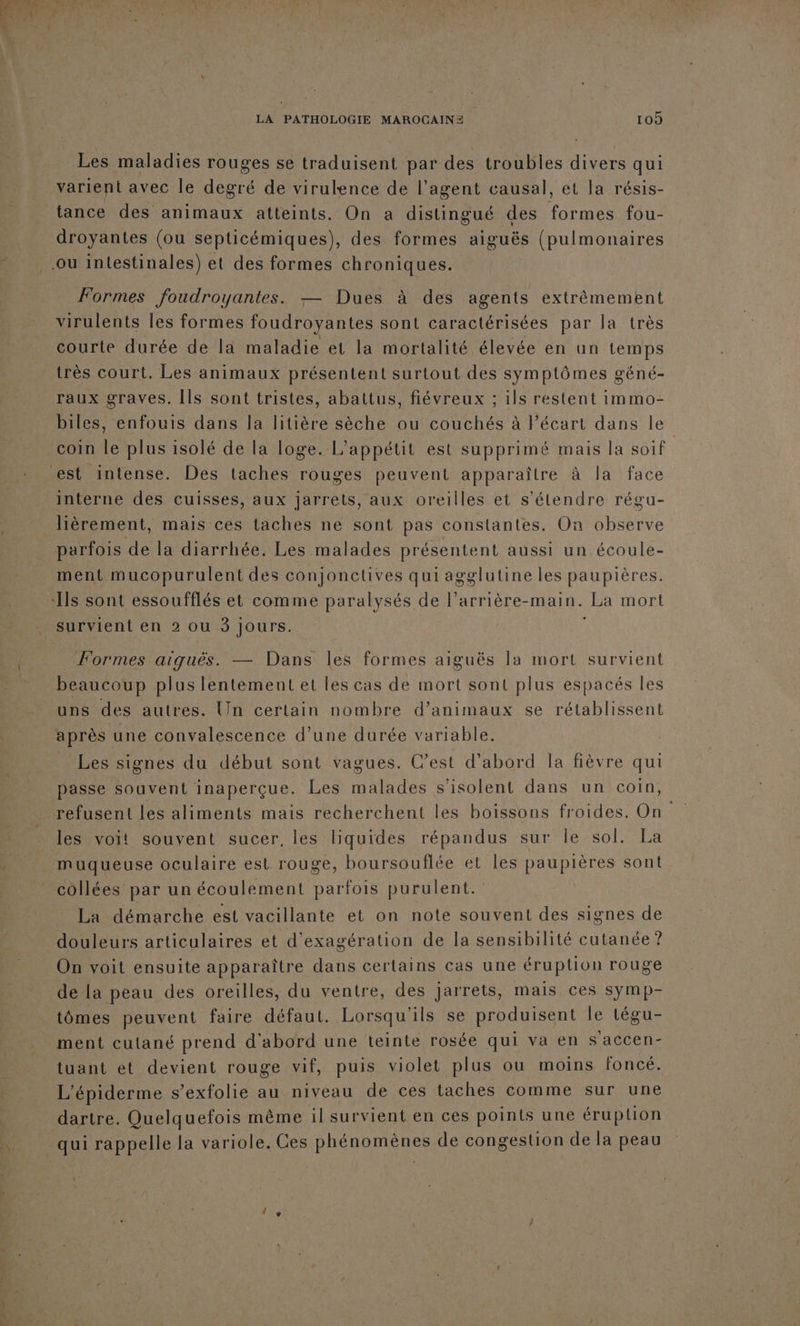 Les maladies rouges se traduisent par des troubles divers qui varient avec le degré de virulence de l’agent causal, et la résis- tance des animaux atteints. On a distingué des formes fou- droyantes (ou septicémiques), des formes aiguës (pulmonaires Formes foudroyantes. — Dues à des agents extrêmement virulents les formes foudroyantes sont caractérisées par la très courte durée de la maladie et la mortalité élevée en un temps très court. Les animaux présentent surtout des symptômes géné- raux graves. [ls sont tristes, abattus, fiévreux ; ils restent immo- biles, enfouis dans la litière sèche ou couchés à Pécart dans le coin le plus isolé de la loge. L’appétit est supprimé mais la soif interne des cuisses, aux jarrets, aux oreilles et s'étendre régu- lièrement, mais ces taches ne sont pas constantes. On observe parfois de la diarrhée. Les malades présentent aussi un écoule- ment mucopurulent des conjonctives qui agglutine les paupières. survient en 2 ou 3 Jours. Formes aïquês. — Dans les formes aiguës la mort survient beaucoup plus lentement et les cas de mort sont plus espacés les uns des autres. Un certain nombre d'animaux se rétablissent après une convalescence d’une durée variable. _ Les signes du début sont vagues. C’est d’abord la fièvre qui passe souvent inaperçue. Les malades s’isolent dans un coin, refusent les aliments mais recherchent les boissons froides. On les voit souyent sucer, les liquides répandus sur Île Sole CET muqueuse oculaire est rouge, boursouflée et les paupières sont collées par un écoulement parfois purulent. La démarche est vacillante et on note souvent des signes de douleurs articulaires et d'exagération de la sensibilité cutanée ? On voit ensuite apparaître dans certains cas une éruption rouge de la peau des oreilles, du ventre, des jarrets, mais ces symp- tômes peuvent faire défaut, Lorsqu'ils se produisent le tégu- ment cutané prend d'abord une teinte rosée qui va en s'accen- tuant et devient rouge vif, puis violet plus ou moins foncé. L'épiderme s’exfolie au niveau de ces taches comme sur une dartre. Quelquefois même il survient en ces points une éruption