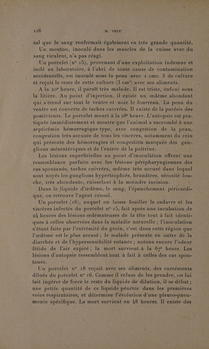 sal que le sang renfermait également en très grande quantité. Un mouton, inoculé dans les muscles de la cuisse avec du sang virulent, n’a pas réagi. | Un porcelet (n° 15), provenant d'une exploitation indemne et isolé au laboratoire, à l’abri de toute cause de contamination accidentelle, est inoculé sous la peau avec 1 eme. 3 de culture et reçoit le reste de cette culture (3 cm*) avec ses aliments. A la 20° heure, il paraît très malade. Il est triste, énfoui sous la litière. Au point d'injection, il existe un œdème abondant qui s'étend sur tout le ventre et noie le fourreau.’ La peau du ventre est couverte de taches cuivrées. Il existe de la parésie des postérieurs. Le porcelet meurt à la 28° heure. L’autopsie est pra- tiquée immédiatement et montre que l'animal a succombé à une septicémie hémorragique type, avec congestion de Ia peau, congestion très accusée de tous les viscères, notamment du rein: qui présente des hémorragies et congestiôn marquée des gan- glions mésentériques et de l'entrée de la poitrine. Les lésions superficielles au point d'inoculâätion offrent une ressemblance parfaite avec. les lésions péripharyngiennes des cas spontanés, taches cuivrées, œdème très accusé dans lequel sont noyés les ganglions hypertrophiés, brunâtres, sérosité lou- che, très abondante, ruisselant à la moindre incision. Dans le liquide d’œdème, le sang, l’'épanchement péricardi- que, on retrouve l’agent causal. Un porcelet (16), auquel on laisse fouiller le cadavre et les viscères infectés du porcelet n° 15, fait après une incubation de 24 heures des lésions œdémateuses de la tête tout à fait identi- ques à celles observées dans la maladie naturelle ; l’inoculation s’étant faite par l’extrémité du groin, c’est dans cette région que l’æœdème est le plus accusé; le malade présente en outre de la diarrhée et de l’hypersensibilité cutanée ; notons encore l’odeur fétide de l'air expiré; la mort survient à la 6% heure. Les lésions d’autopsie ressemblent tout à fait à celles des cas FpouE tanés. Un porcelet n° 18 reçoit avec ses aliments, des excréments dilués du porcelet n° 16. Comme il refuse de les prendre, on lui fait ingérer de force le reste du liquide de dilution, il se débat ; une petite quantité de ce liquide pénètre dans les premières voies respiratoires, et détermine l’évolution d'une pleuro-pneu- monie spécifique. La mort survient en 48 heures. Il existe des