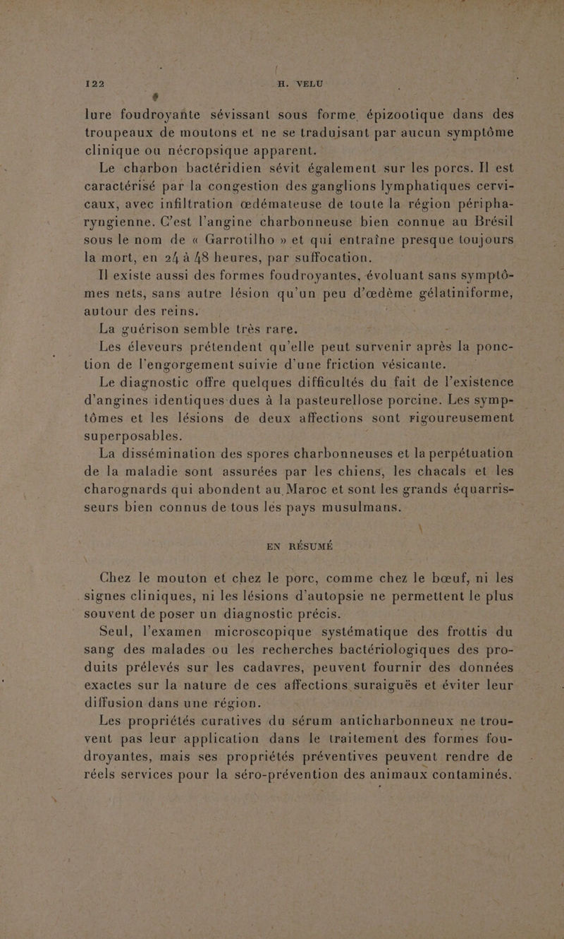 | 122 H. VELU “ | lure foudroyante sévissant sous forme épizootique dans des troupeaux de moutons et ne se Fe A aucun symptôme clinique ou nécropsique apparent. Le charbon bactéridien sévit également sur les porcs. Il est caractérisé par la congestion des ganglions lymphatiques cervi- caux, avec infiltration œdémateuse de toute la région péripha- ryngienne. C’est l’angine charbonneuse bien connue au Brésil sous le nom de « Garrotilho » et qui entraîne presque toujours la mort, en 24 à 48 heures, par suffocation. Il existe aussi des formes MU évoluant sans symptô- mes nets, sans autre lésion qu’un peu d’ œædème gélatiniforme, autour des reins. La guérison semble très rare. Les éleveurs prétendent qu'elle peut survenir après la ponc- tion de l'engorgement suivie d’une friction vésicante. Le diagnostic offre quelques difficultés du fait de l’existence d’angines identiques dues à la pasteurellose porcine. Les symp- tômes et les lésions de deux affections sont rigoureusement superposables. La dissémination des spores charbonneuses et la perpétuation de la maladie sont assurées par les chiens, les chacals et les seurs bien connus de tous les pays musulmans. EN RÉSUMÉ Chez le mouton et chez le porc, comme chez le bœuf, ni les signes cliniques, ni les lésions d’ autopsie ne permettent le plus souvent de poser un diagnostic précis. Seul, l’examen microscopique systématique des frottis du sang des malades ou les recherches bactériologiques des pro- duits prélevés sur les cadavres, peuvent fournir des données exactes sur la nature de ces affections suraiguës et éviter leur diffusion dans une région. Les propriétés curatives du sérum anticharbonneux ne trou- vent pas leur application dans le traitement des formes fou- droyantes, mais ses propriétés préventives peuvent rendre de réels services pour la séro-prévention des animaux contaminés.