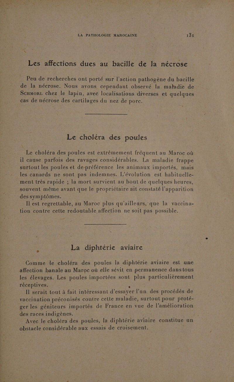 Les affections dues au bacille de la nécrose Peu de recherches ont porté sur l’action pathogène du bacille de la nécrose. Nous avons cependant observé la maladie de SCHMORL chez le lapin, avec localisations diverses et quelques cas de nécrose des cartilages du nez de porc. Le choléra des poules Le choléra des poules est extrêmement fréquent au Maroc où il cause parfois des ravages considérables. La maladie frappe surtout les poules et de-préférence les animaux importés, mais les canards ne sont pas indemnes. L'évolution est habituelle- ment très rapide ; la mort survient au bout de quelques heures, souvent même avant que le propriétaire ait constaté l'apparition des symptômes. : | Il est regrettable, au Maroc plus qu'ailleurs, que la vaccina- tion contre cette redoutable affection ne soit pas possible. s La diphtérie aviaire Comme le choléra des poules la diphtérie aviaire est une affection banale au Maroc où elle sévit en permanence dans tous les élevages. Les poules importées sont plus particulièrement réceptives. Il serait tout à fait intéressant d'essayer l’an des procédés de vaccination préconisés contre cette maladie, surtout pour proté- ger les géniteurs importés de France en vue de l’amélioration des races indigènes. Avec le choléra des poules, la diphtérie aviaire constitue un obstacle considérable aux essais de croisement.