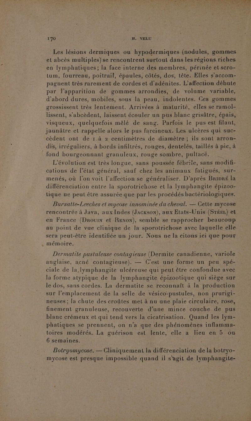 Les lésions dermiques ou hypodermiques (nodules, gommes et abcès multiples) se rencontrent surtout dans les régions riches, en lymphatiques; la face interne des membres, périnée et scro- tum, fourreau, poitrail, épaules, côtés, dos, tête. Elles s’accom- pagnent très rarement de cordes et d'adénites. L’affection débute par l'apparition de gommes arrondies, de volume variable, d'abord dures, mobiles, sous la peau, indolentes. Ges gommes grossissent très lentement. Arrivées à maturité, elles se ramol- lissent, s’abcèdent, laissent écouler un pus blanc grisâtre, épais, visqueux, quelquefois mêlé de sang. Parfois le pus est filant, jaunâtre et rappelle alors le pus farcineux. Les ulcères qui suc- cèdent ont de 1_à &gt; centimètres de diamètre ; 1ls sont arron- dis, irréguliers, à bords infiltrés, rouges, dentelés, taillés à pre, à _fond bourgeonnant granuleux, rouge sombre, pultacé. L'évolution est très longue, sans poussée fébr'ie, sans modifi- cations de l’état général, dau chez les animaux fatigués, sur- menés, où l’on voit l’affection se généraliser. D’après BRriDRé la différenciation entre la sporotrichose et la Iymphangite épizoo- tique ne peut être assurée que par les procédés bactériologiques. Bursatte-Leeches et mycase innominée du cheval. — Cette mycose rencontrée à Java, aux Indes (Jackson), aux Etats-Unis (Sréer) et en France (Drouin et Reno), semble se rapprocher beaucoup au point de vue clinique de la sporotrichose avec laquelle elle sera peut-être HORS un jour. Nous ne la citons iei que pour mémoire. Dermatite pustuleuse contagieuse (Dermite canadienne, variole anglaise, acné contagieuse). — C'est une forme un peu spé- ciale de la,lymphangite ulcéreuse qui peut être confondue avec la forme atypique de la lymphangite épizootique qui siège sur le dos, sans cordes. La dermatite se reconnaît à la production sur l'emplacement de la selle de vésico-pustules, non prurigi- neuses ; la chute des croûtes met à nu une plaie circulaire, rose, finement granuleuse, recouverte d’une mince couche de pus blanc crémeux et qui tend vers la cicatrisation. Quand les lym- phatiques se prennent, on n’a que des phénomènes inflamma- toires modérés. La guérison est lente, elle a lieu en 5 ou 6 semaines. | Botryomycose. — Cliniquement la différenciation de la botryo- mycose est presque impossible quand il s’agit de lymphangite-