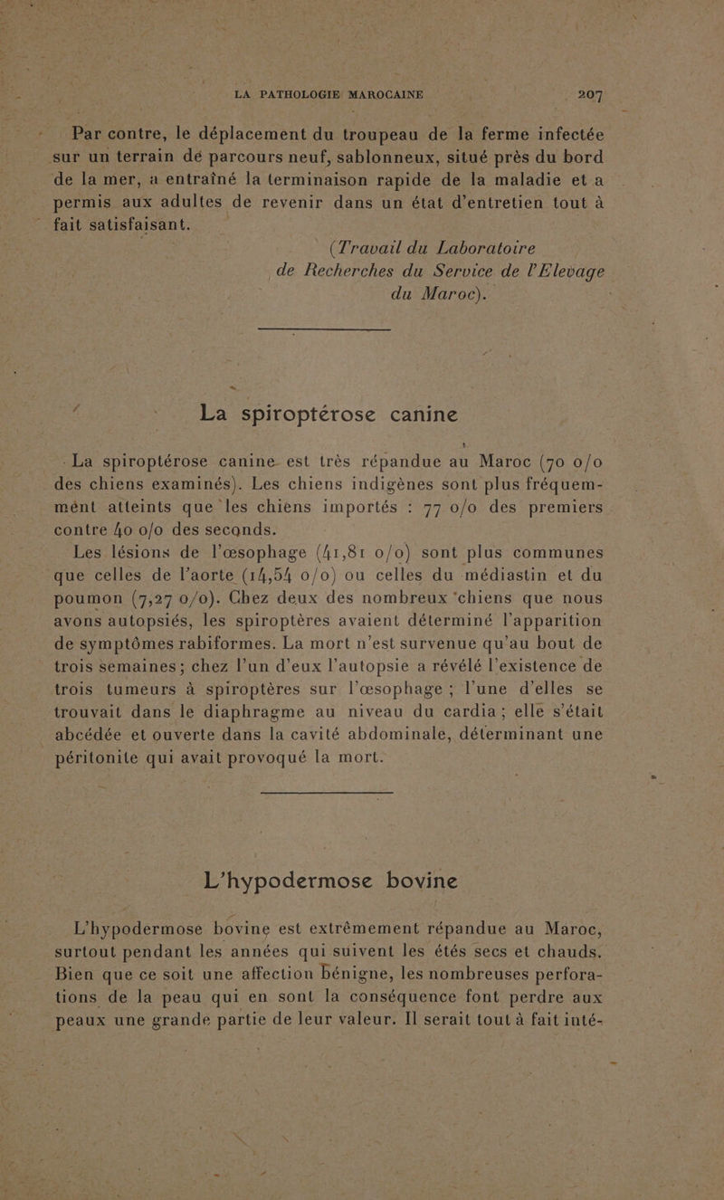 Par contre, le déplacement du troupeau de la ferme infectée sur un terrain dé parcours neuf, sablonneux, situé près du bord de la mer, a entraîné la (erminaison rapide de la maladie et a permis aux adultes de revenir dans un état d'entretien tout à fait satisfaisant. | (Travail du Laboratoire de Recherches du Service de l’Elevage du Maroc). %. La spiroptérose canine _ . La spiroptérose canine est très répandue au Maroc (70 0/0 des chiens examinés). Les chiens indigènes sont plus fréquem- mént atteints que les chiens importés : 77 o/o des premiers contre 4o o/o des seconds. Les lésions de l’œsophage (41,81 0/0) sont plus communes que celles de l’aorte (14,54 0/0) ou celles du médiastin et du poumon (7,27 0/0). Chez deux des nombreux ‘chiens que nous avons autopsiés, les spiroptères avaient déterminé l'apparition de symptômes rabiformes. La mort n’est survenue qu'au bout de trois semaines ; chez l’un d'eux l’autopsie a révélé l'existence de trois tumeurs à spiroptères sur l’œsophage ; l’une d'elles se trouvait dans le diaphragme au niveau du cardia; elle s'était abcédée et ouverte dans la cavité abdominale, déterminant une _ péritonite qui avait provoqué la mort. Te L'hypodermose bovine L'hypodermose bovine est extrêèmement répandue au Maroc, surtout pendant les années qui suivent les étés secs et chauds. Bien que ce soit une affection bénigne, les nombreuses perfora- tions de la peau qui en sont la conséquence font perdre aux peaux une grande partie de leur valeur. Il serait tout à fait inté-
