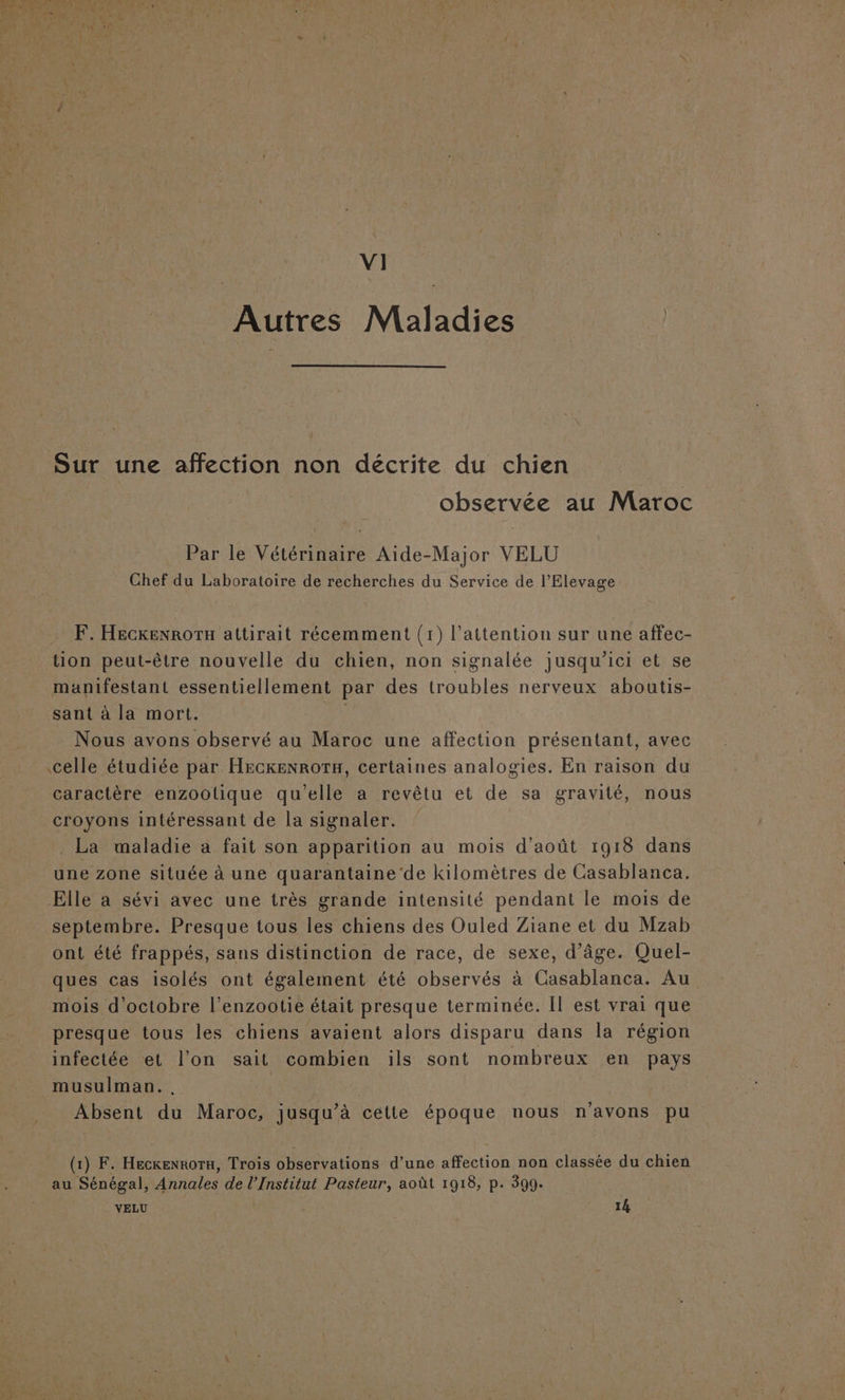 VI Autres Maladies | observée au Maroc Par le Vétérinaire Aide-Major VELU Chef du Laboratoire de recherches du Service de l’Elevage: F. HeckeNROTH attirait récemment (1) l'attention sur une affec- tion peut-être nouvelle du chien, non signalée jusqu'ici et se manifestant essentiellement par des troubles nerveux aboutis- sant à la mort. Nous avons observé au Maroc une affection présentant, avec caractère enzootique qu'elle a revêtu et de sa gravité, nous croyons intéressant de la signaler. _ La maladie a fait son apparition au mois d'août 1918 dans une Zone située à une quarantaine de kilomètres de Casablanca. septembre. Presque tous les chiens des Ouled Ziane et du Mzab ont été frappés, sans distinction de race, de sexe, d’âge. Quel- ques cas isolés ont également été observés à Casablanca. Au mois d'octobre l’enzootie était presque terminée. Il est vrai que presque tous les chiens avaient alors disparu dans la région infectée et l'on sait combien ils sont nombreux en pays musulman. | | | Absent du Maroc, jusqu’à cette époque nous n'avons pu (1) F. Hecrenroru, Trois observations d’une affection non classée du chien au Sénégal, Annales de l’Institut Pasteur, août 1918, p. 399. VELU 14