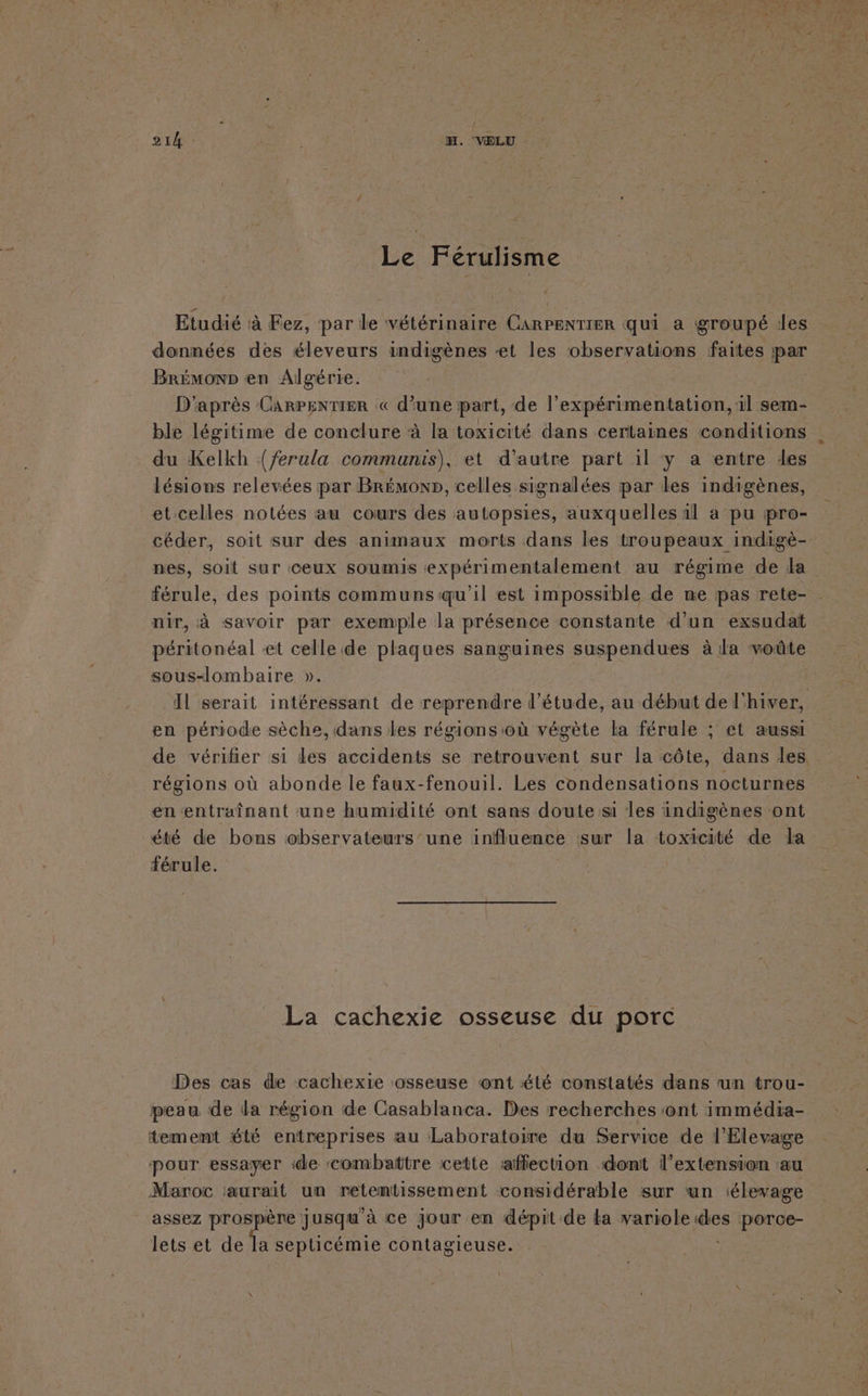 Le Férulisme Etudié à Fez, par le vétérinaire Carpentier qui a groupé des données des éleveurs indigènes et les observations faites par Brémonp en Algérre. | D’après CARPENTIER € d’une part, de l’expérimentation, 1] sem- du Kelkh (/erula communis), et d'autre part il y a entre des lésions relevées par Brémoxp, celles signalées par les indigènes, et celles notées au cours des autopsies, auxquelles 1l a pu pro- nes, soit sur ceux soumis expérimentalement au régime de la férule, des points communs qu'il est impossible de ne pas rete- nir, à savoir par exemple la présence constante d’un exsudat péritonéal «et celle de plaques sanguines suspendues à la voûte sous-lombaire ». en période sèche, dans les régions où végète la férule ; et aussi régions où abonde le faux-fenouil. Les condensations nocturnes en entraînant une humidité ont sans doute si les indigènes ont été de bons observateurs’/une influence sur la toxicité de la férule. : | _ La cachexie osseuse du porc Des cas de cachexie osseuse ont été constatés dans un trou- peau de da région de Casablanca. Des recherches ‘ont immédia- tememt été entreprises au Laboratoire du Service de l'Elevage pour essayer :de combattre cette affection dont l'extension ‘au Maroc aurait un retentissement considérable sur un élevage assez prospère jusqu’à ce jour en dépit de la varioleides porce- lets et de la septicémie contagieuse. |