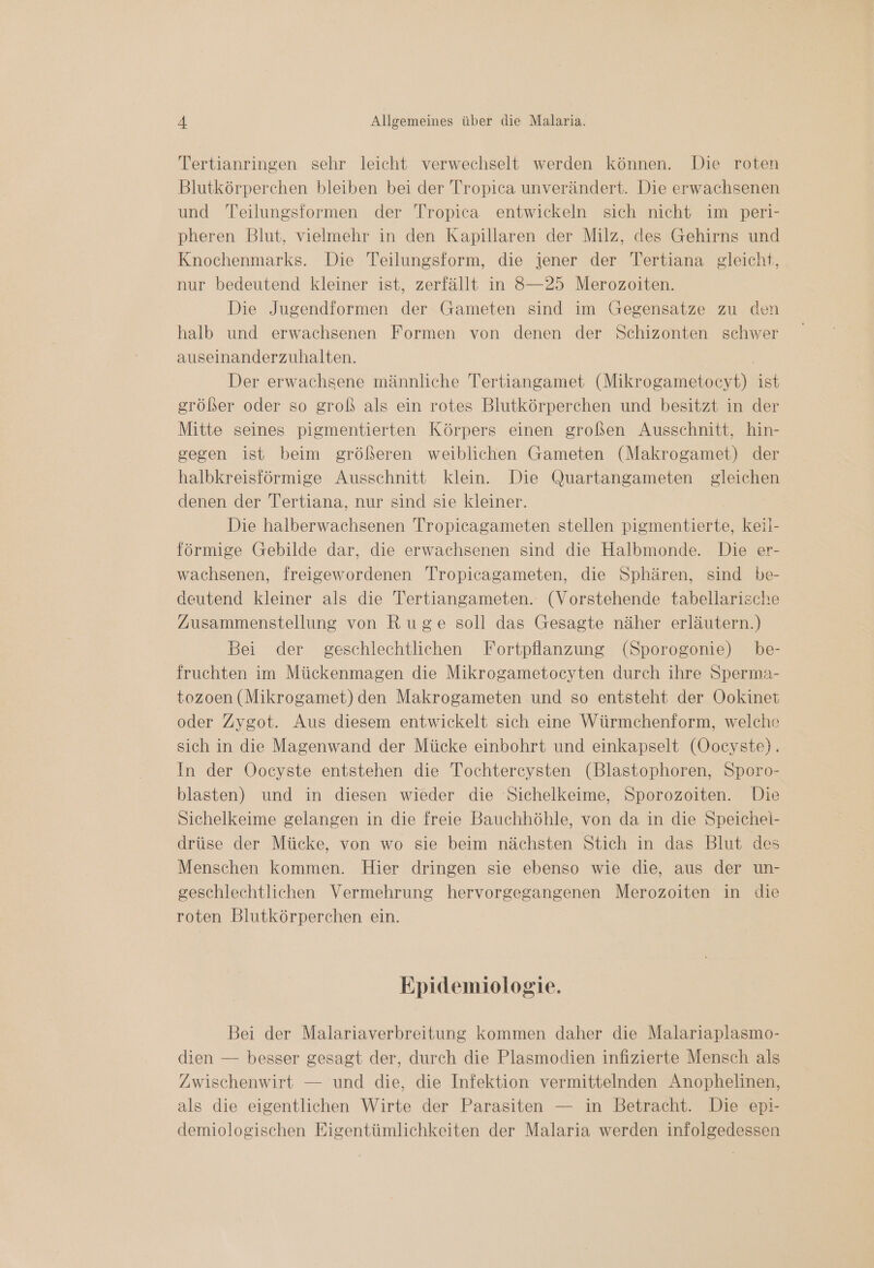 Tertianringen sehr leicht verwechselt werden können. Die roten Blutkörperchen bleiben bei der Tropica unverändert. Die erwachsenen und Teilungsformen der Tropica entwickeln sich nicht im peri- pheren Blut, vielmehr in den Kapillaren der Milz, des Gehirns und Knochenmarks. Die Teilungsform, die iener der Tertiana gleicht, nur bedeutend kleiner ist, zerfällt in 8—25 Merozoiten. Die Jugendformen der Gameten sind im Gregensatze zu den halb und erwachsenen Formen von denen der Schizonten schwer auseinanderzuhalten. Der erwachsene männliche Tertiangamet (Mikrogametocyt) ist größer oder so groß als ein rotes Blutkörperchen und besitzt in der Mitte seines pigmentierten Körpers einen großen Ausschnitt, hin- gegen ist beim größeren weiblichen Gameten (Makrogamet) der halbkreisförmige Ausschnitt klein. Die Quartangameten gleichen denen der Tertiana, nur sind sie kleiner. Die halberwachsenen Tropicagameten stellen pigmentierte, Keil- förmige Greebilde dar, die erwachsenen sind die Halbmonde. Die er- wachsenen, freigewordenen Tropicagameten, die Sphären, sind be- deutend kleiner als die Tertiangameten. (Vorstehende tabellarische Zusammenstellung von Ruge soll das Gesagte näher erläutern.) Bei der geschlechtlichen Fortpflanzung (Sporogonie) be- fruchten im Mückenmagen die Mikrogametocyten durch ihre Sperma- tozoen (Mikrogamet) den Makrogameten und so entsteht der Ookinet oder Zygot. Aus diesem entwickelt sich eine Würmchenform, welche sich in die Magenwand der Mücke einbohrt und einkapselt (Oocyste). In der Oocyste entstehen die Tochtereysten (Blastophoren, Sporo- blasten) und in diesen wieder die Sichelkeime, Sporozoiten. Die Sichelkeime gelangen in die freie Bauchhöhle, von da in die Speichei- drüse der Mücke, von wo sie beim nächsten Stich in das Blut des Menschen kommen. Hier dringen sie ebenso wie die, aus der un- geschlechtlichen Vermehrung hervorgegangenen Merozoiten in die roten Blutkörperchen ein. Epidemiologie. Bei der Malariaverbreitung kommen daher die Malariaplasmo- dien — besser gesagt der, durch die Plasmodien infizierte Mensch als Zwischenwirt — und die, die Infektion vermittelnden Anophelinen, als die eigentlichen Wirte der Parasiten — in Betracht. Die epi- demiologischen Eigentümlichkeiten der Malaria werden infolgedessen