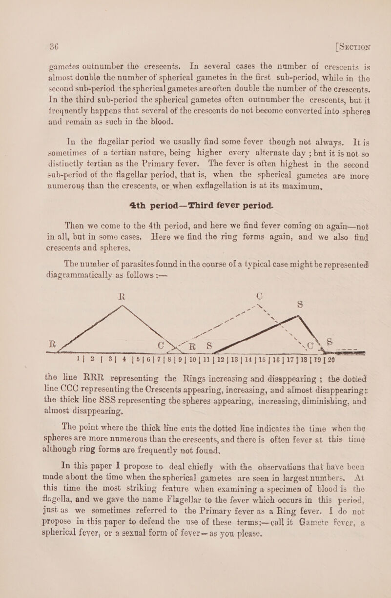 gametes outnumber the erescents. In several cases the number of crescents is almost double the number of spherical gametes in the first sub-period, while in the second sub-period the spherical gametes are often double the number of the crescents. In the third sub-period the spherical gametes often outnumber the crescents, but it {requently happens that several of the crescents do not become converted into spheres and remain as such in the blood. In the flagellar period we usually find some fever though not always. It is sometimes of a tertian nature, being higher every alternate day ; but it is not so distinctly tertian as the Primary fever. The fever is often highest in the second sub-period of the flagellar period, that is, when the spherical gametes are more numerous than the crescents, or when exflagellation is at its maximum, 4th period—Third fever period. Then we come to the 4th period, and here we find fever coming on again—not in all, but in some cases. Here we find the ring forms again, and we also find crescents and spheres, The number of parasites found in the course of a typical case might be represented diagrammatically as follows.:— —R S Nac eh Lie2antees:| 14 {6|6|7{8]|9] 10] 11] 12,13] 14] 15] 16] 17] 18] 19] 20 the line RRR representing the Rings increasing and disappearing ; the dotted line CCC representing the Crescents appearing, increasing, and almost disappearing + the thick line SSS representing the spheres appearing, increasing, diminishing, and almost disappearing. The point where the thick line cuts the dotted line indicates the time when the spheres are more numerous than the crescents, and there is often fever at this time although ring forms are. frequently not found, In this paper I propose to. deal chiefly with the observations that have been made about the time when the spherical gametes are seen in largestnumbers. At this time the most striking feature when examining a specimen of blood is the flagella, and we gave the name Flagellar to the fever which occurs in this period, just as we sometimes referred to the Primary fever as a Ring fever. I do not propose in this paper to defend the use of these terms;—call it Gamete fever, a spherical feyer, or a sexual form of feyer~as you please.