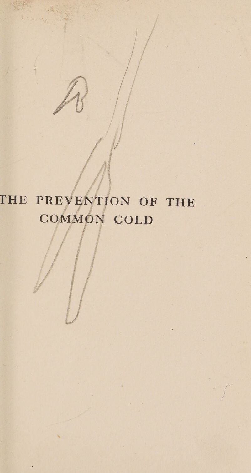 Fs % THE PREVENTION OF THE COMMON COLD