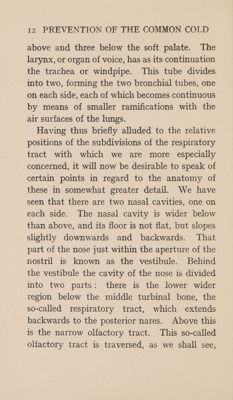 above and three below the soft palate. The larynx, or organ of voice, has as its continuation the trachea or windpipe. This tube divides into two, forming the two bronchial tubes, one on each side, each of which becomes continuous by means of smaller ramifications with the air surfaces of the lungs. Having thus briefly alluded to the relative positions of the subdivisions of the respiratory tract with which we are more especially concerned, it will now be desirable to speak of certain points in regard to the anatomy of these in somewhat greater detail. We have seen that there are two nasal cavities, one on each side. The nasal cavity is wider below than above, and its floor is not flat, but slopes slightly downwards and backwards. That part of the nose just within the aperture of the nostril is known as the vestibule. Behind the vestibule the cavity of the nose is divided into two parts: there is the lower wider region below the middle turbinal bone, the so-called respiratory tract, which extends backwards to the posterior nares. Above this is the narrow olfactory tract. This so-called olfactory tract is traversed, as we shall see,