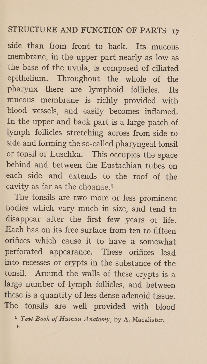 side than from front to back. Its mucous membrane, in the upper part nearly as low as the base of the uvula, is composed of ciliated epithelium. Throughout the whole of the pharynx there are lymphoid follicles. Its mucous membrane is richly provided with blood vessels, and easily becomes inflamed. In the upper and back part is a large patch of lymph follicles stretching across from side to side and forming the so-called pharyngeal tonsil or tonsil of Luschka. This occupies the space behind and between the Eustachian tubes on each side and extends to the roof of the cavity as far as the choanae.! The tonsils are two more or less prominent bodies which vary much in size, and tend to disappear after the first few years of life. Fach has on its free surface from ten to fifteen orifices which cause it to have a somewhat perforated appearance. These orifices lead into recesses or crypts in the substance of the tonsil. Around the walls of these crypts is a large number of lymph follicles, and between these is a quantity of less dense adenoid tissue. The tonsils are well provided with blood 1 Text Book of Human Anatomy, by A. Macalister. B